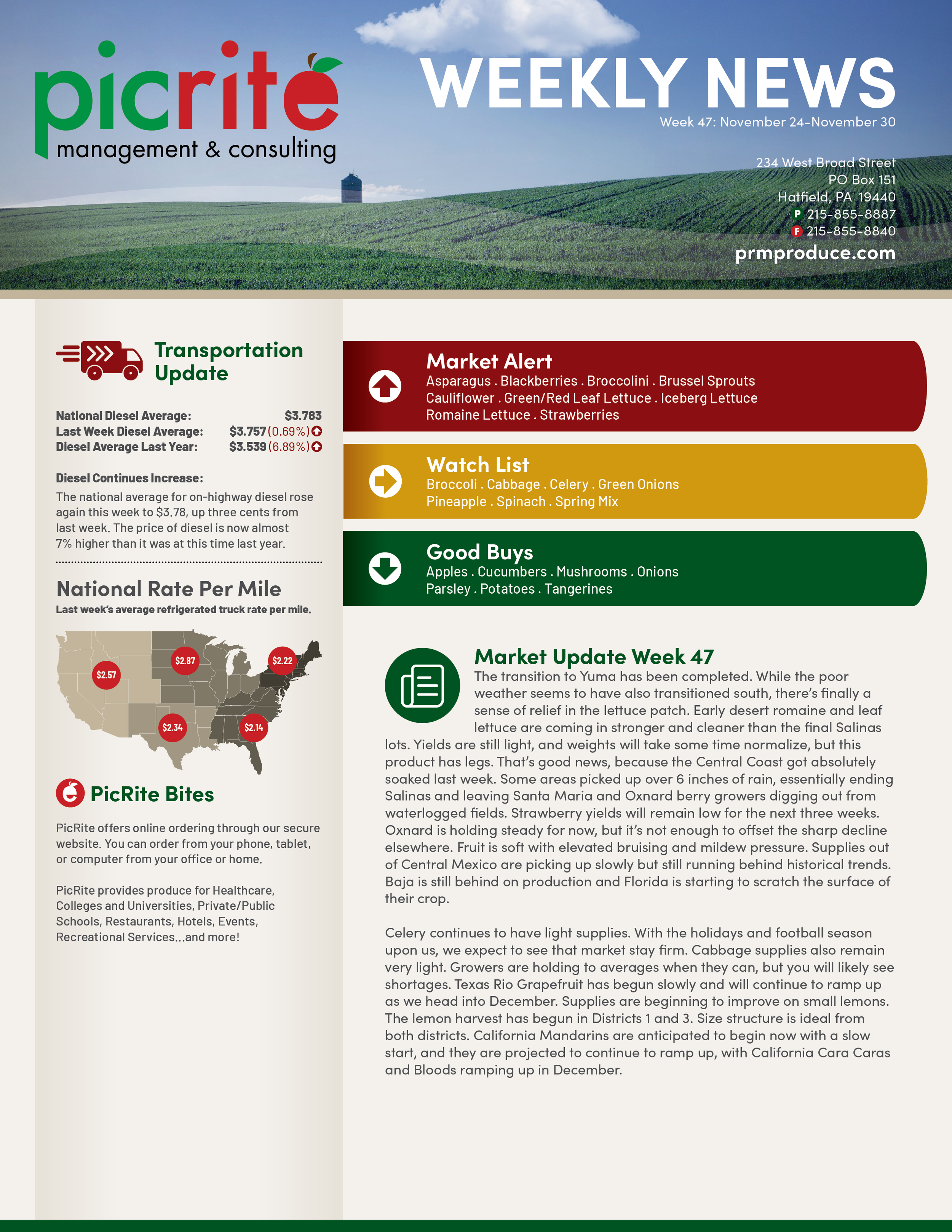 Newsletter47_01.png