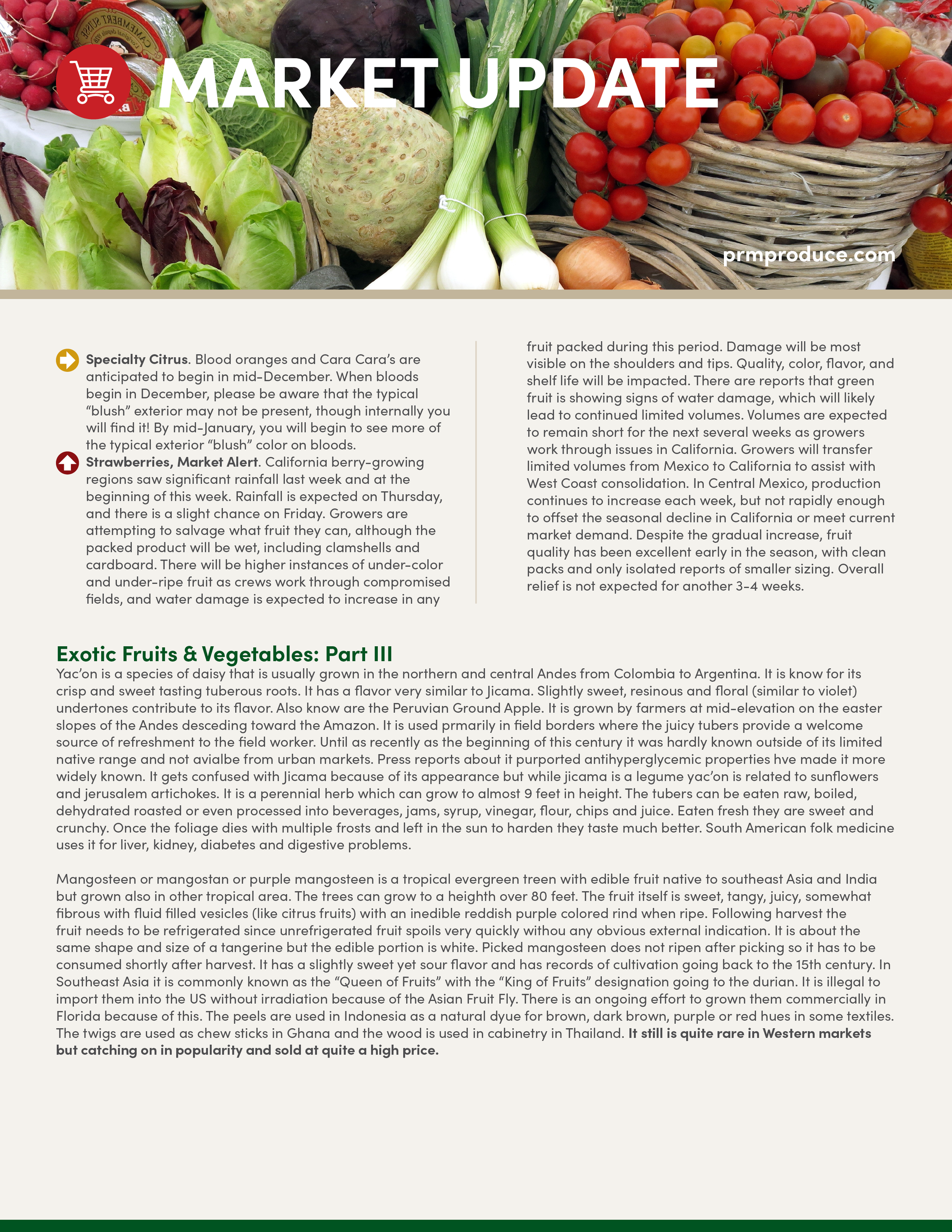 Newsletter48_03.png