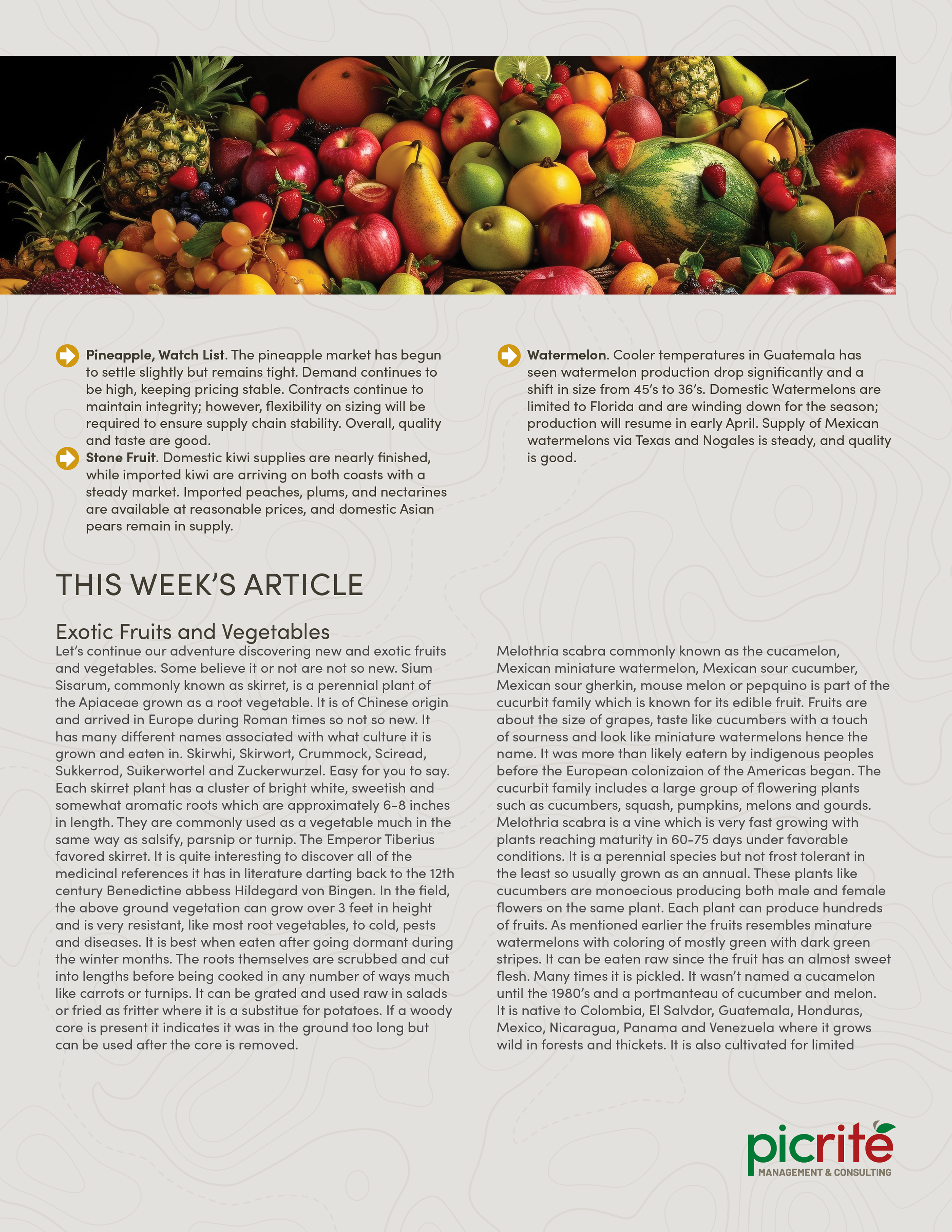 PIC260201_Newsletter05_03.png