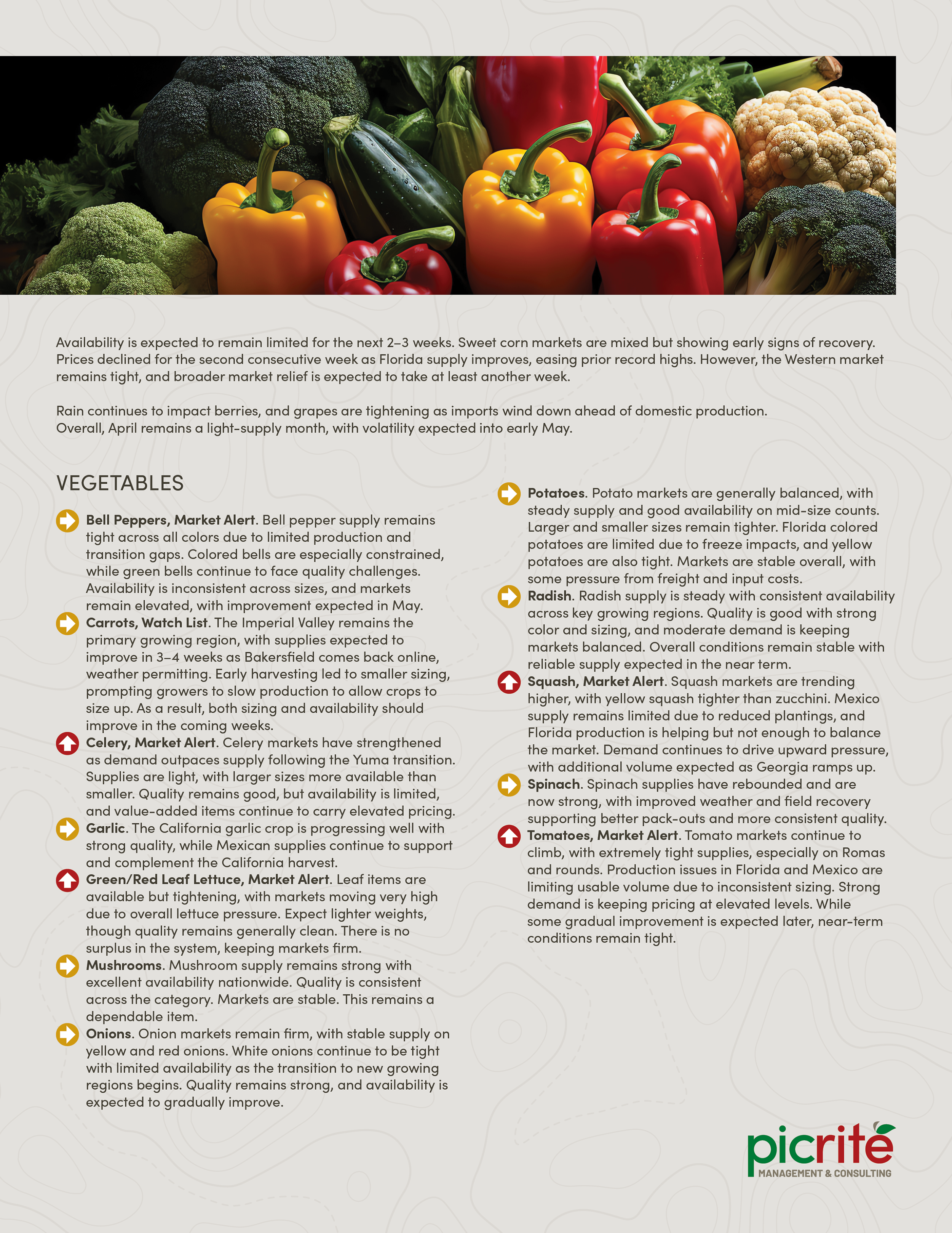 PIC260401_Newsletters19_02.png