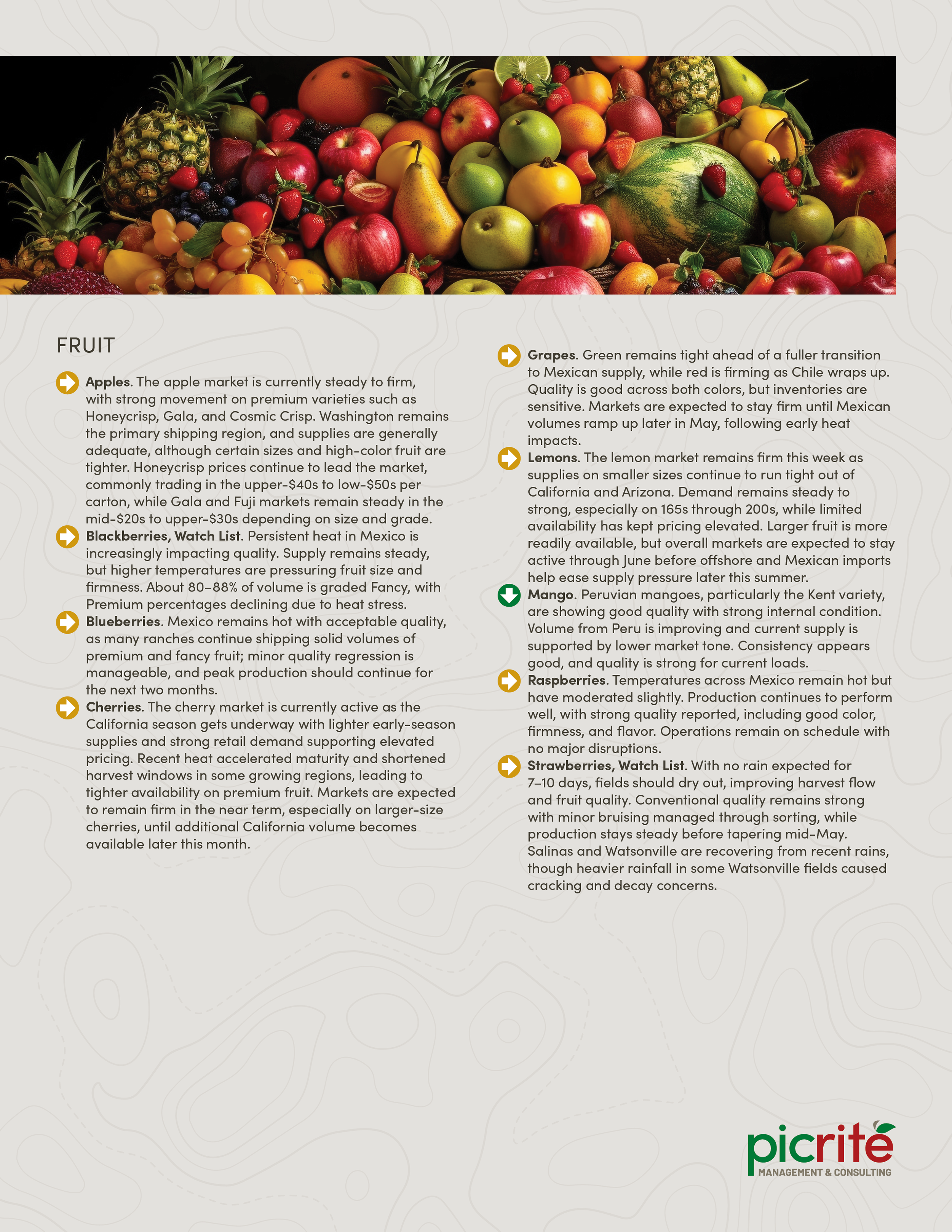 PIC260507_Newsletter20_03.png