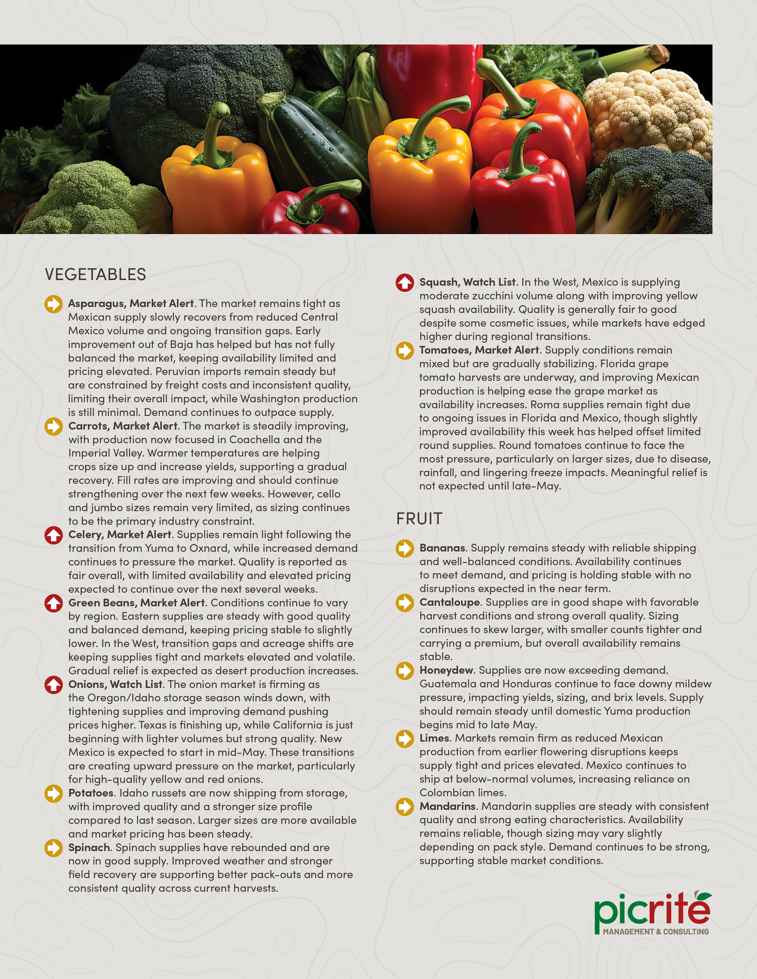 PIC260507_Newsletter21_02.png