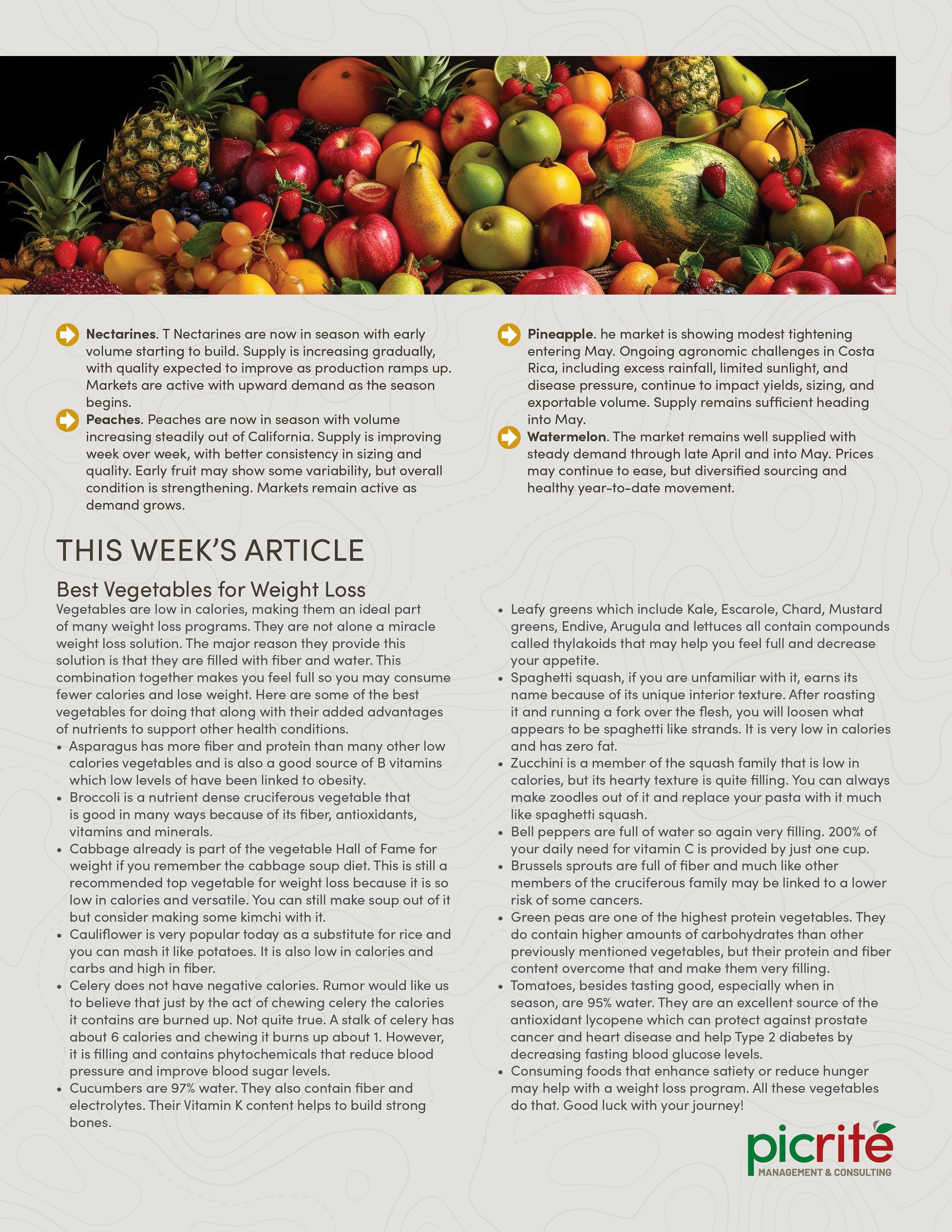 PIC260507_Newsletter21_03.png