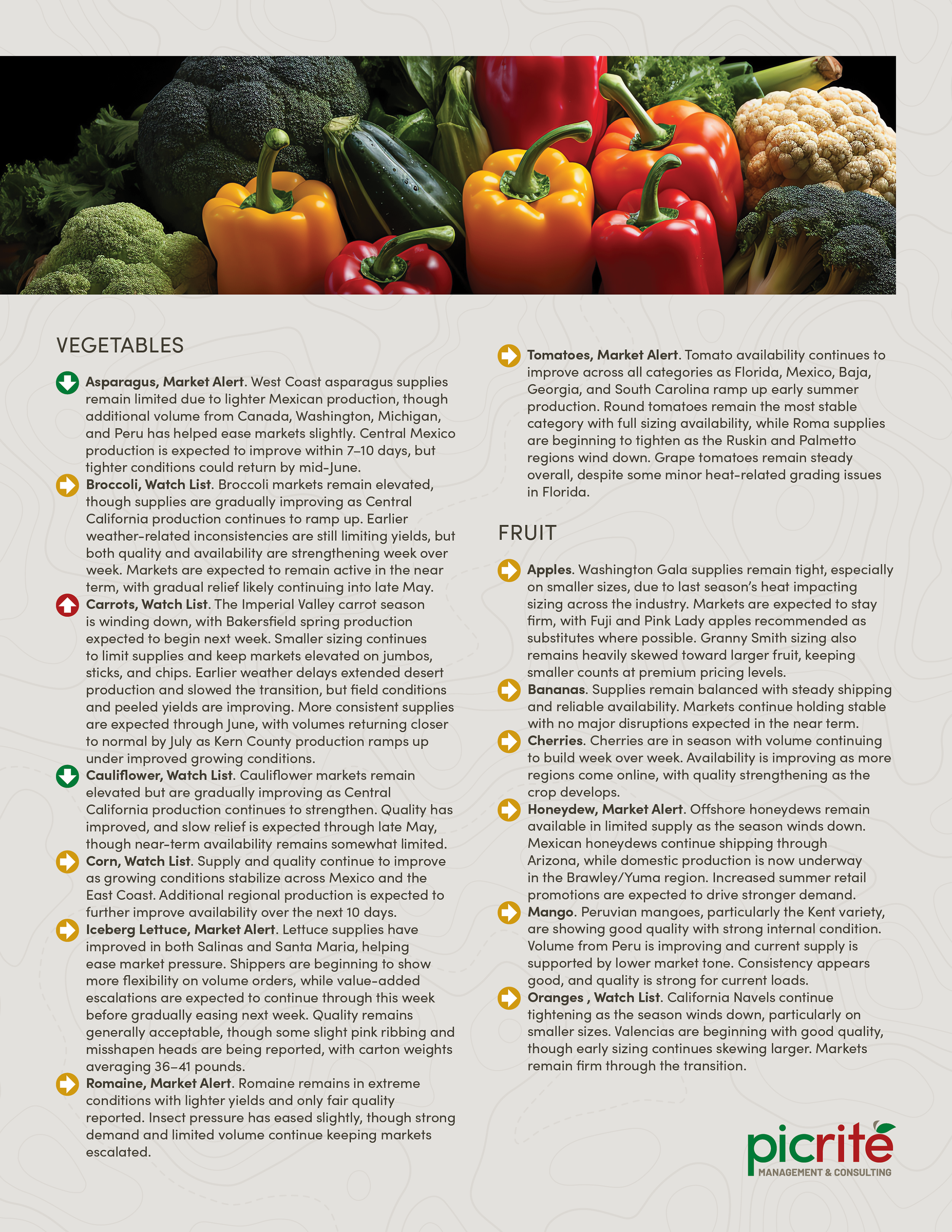 PIC260507_Newsletter22_02.png