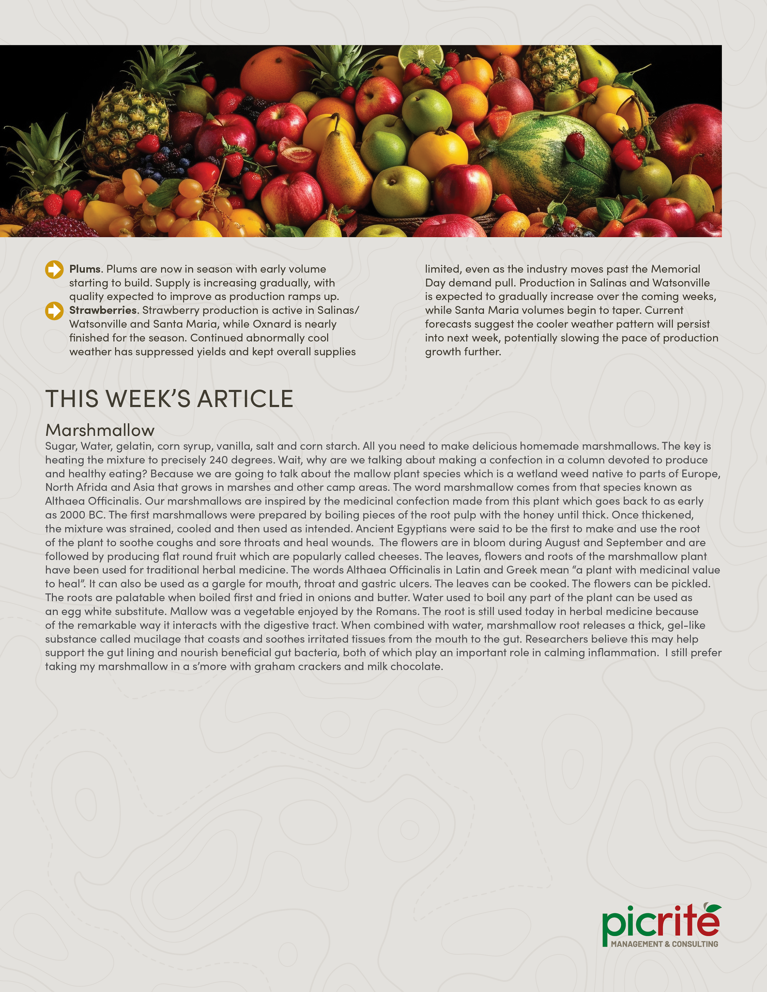 PIC260507_Newsletter22_03.png