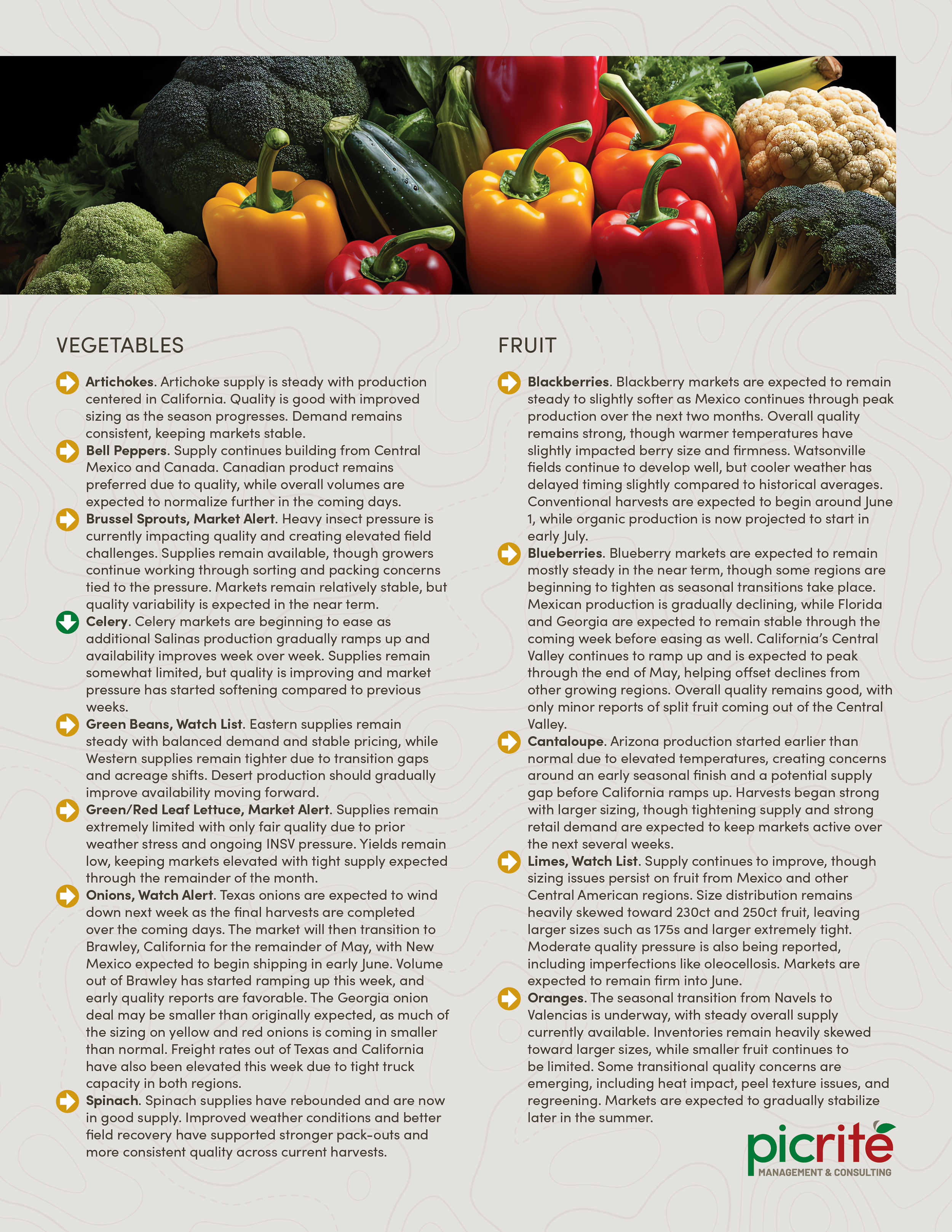 PIC260507_Newsletter23_02.png