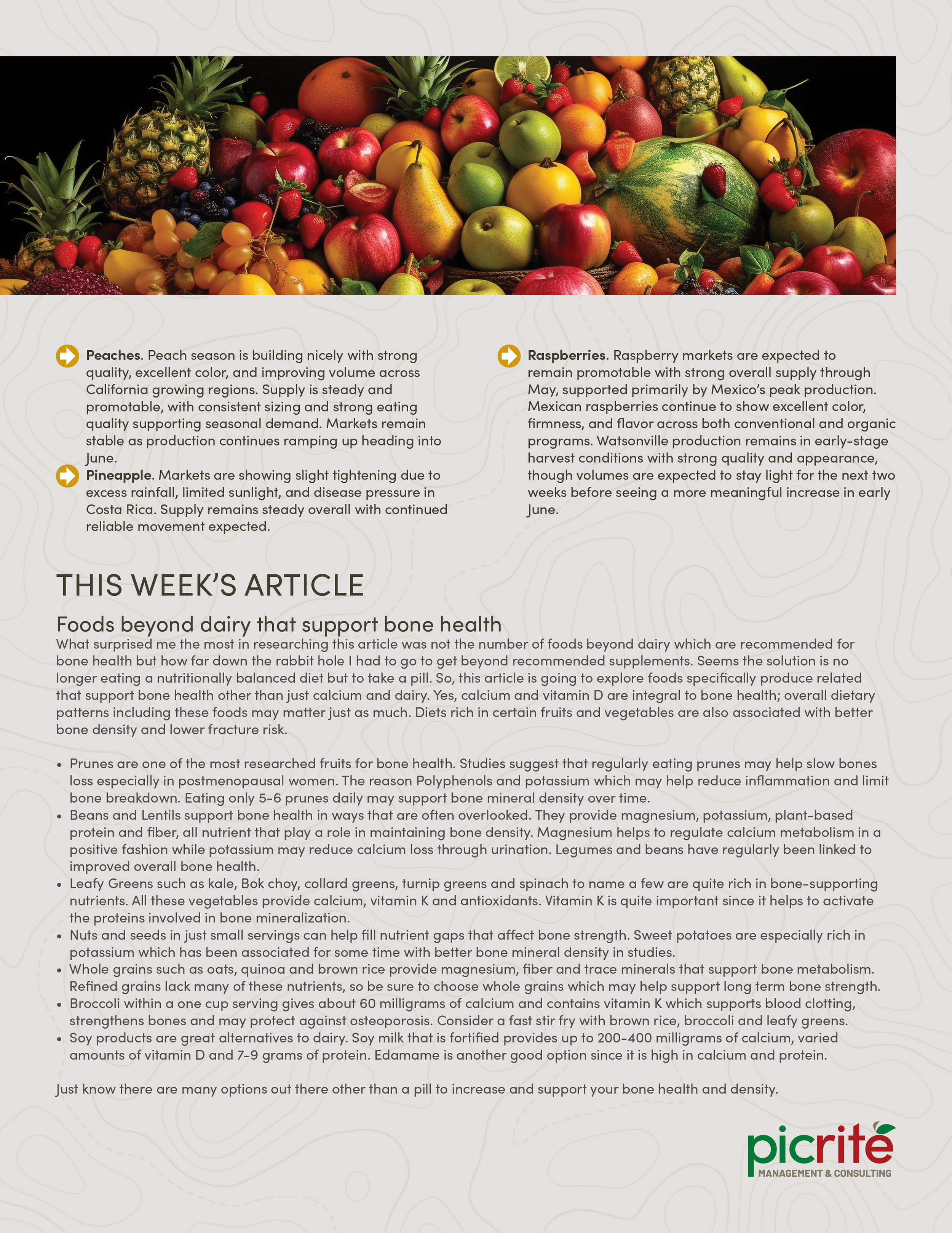 PIC260507_Newsletter23_03.png