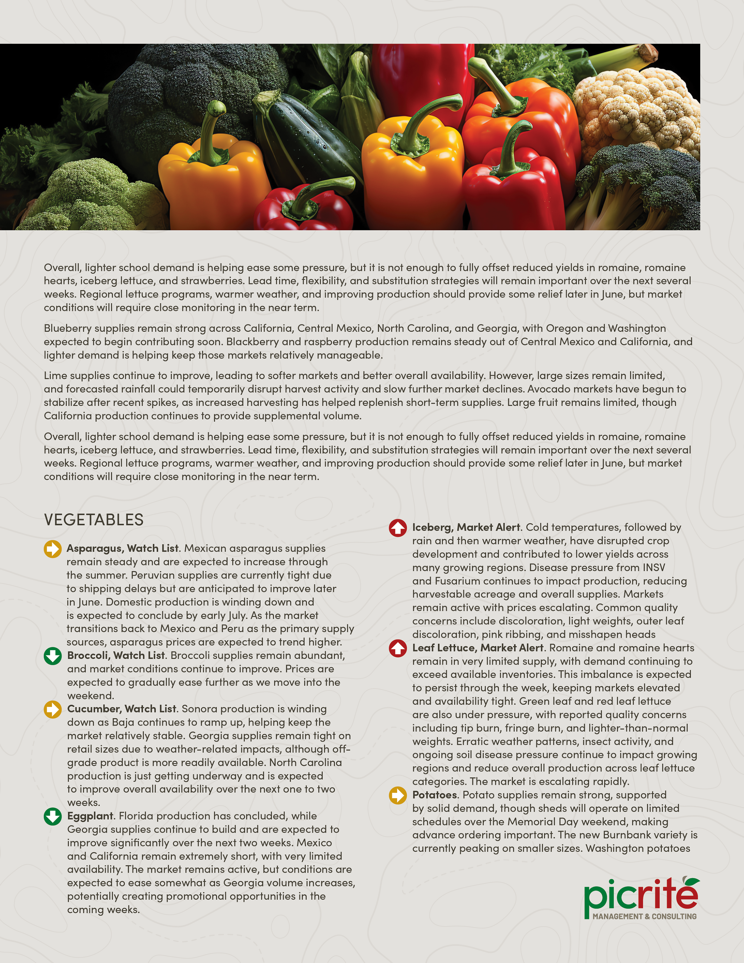 PIC260604_Newsletter24_02.png