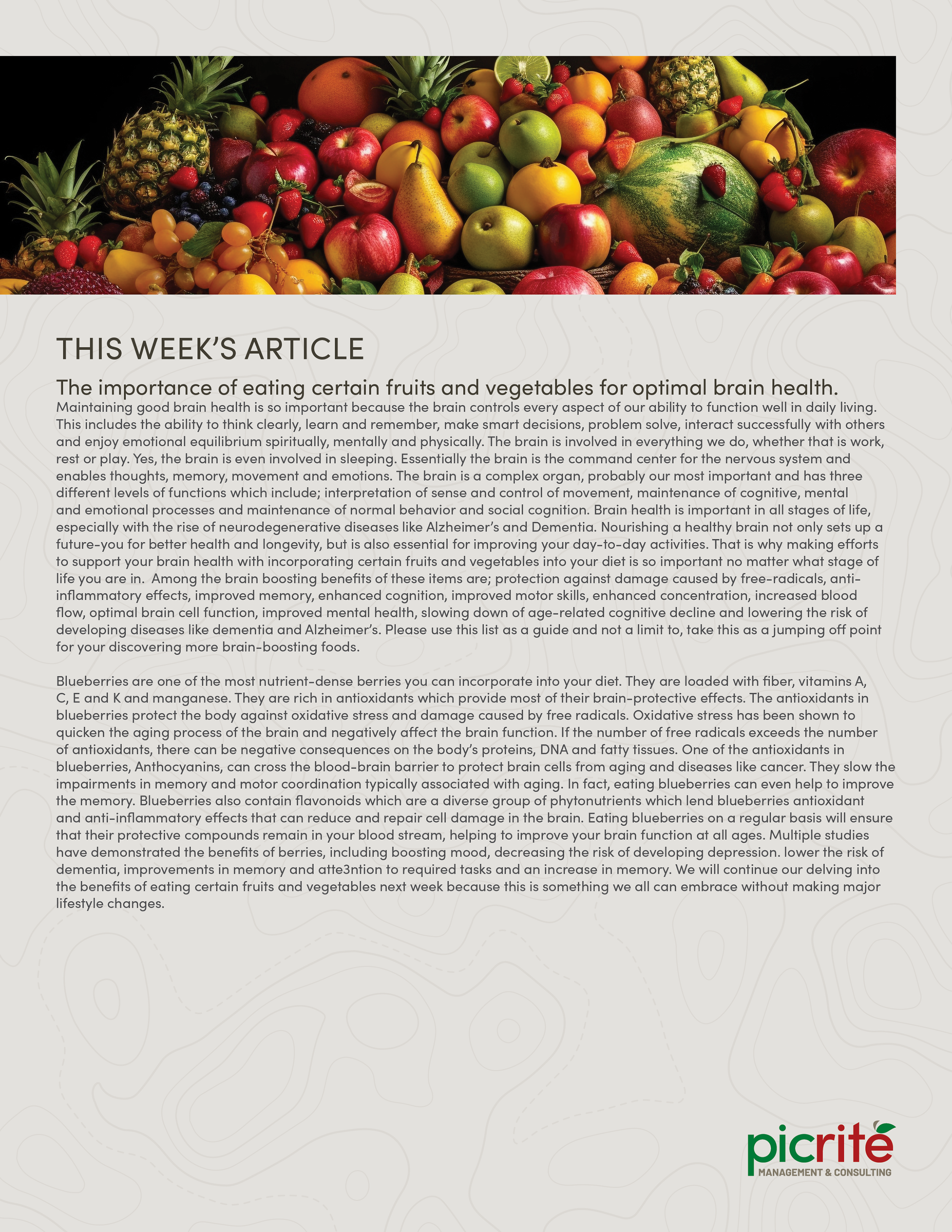 PIC260604_Newsletter24_04.png