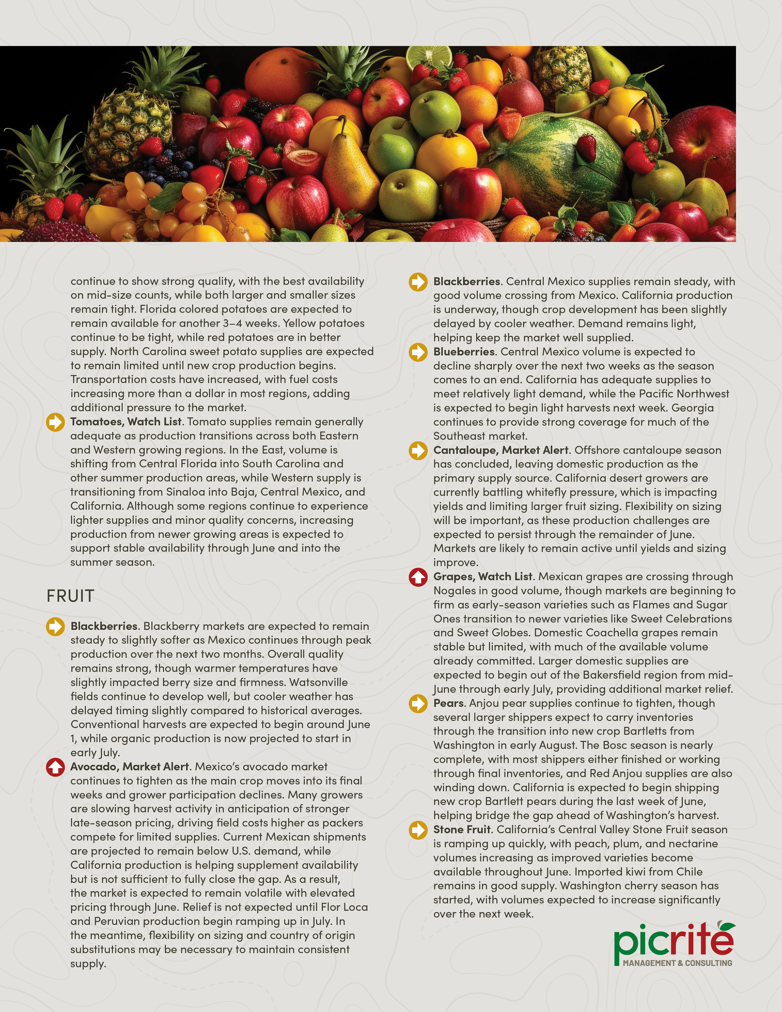PIC260604_Newsletter24_03.png