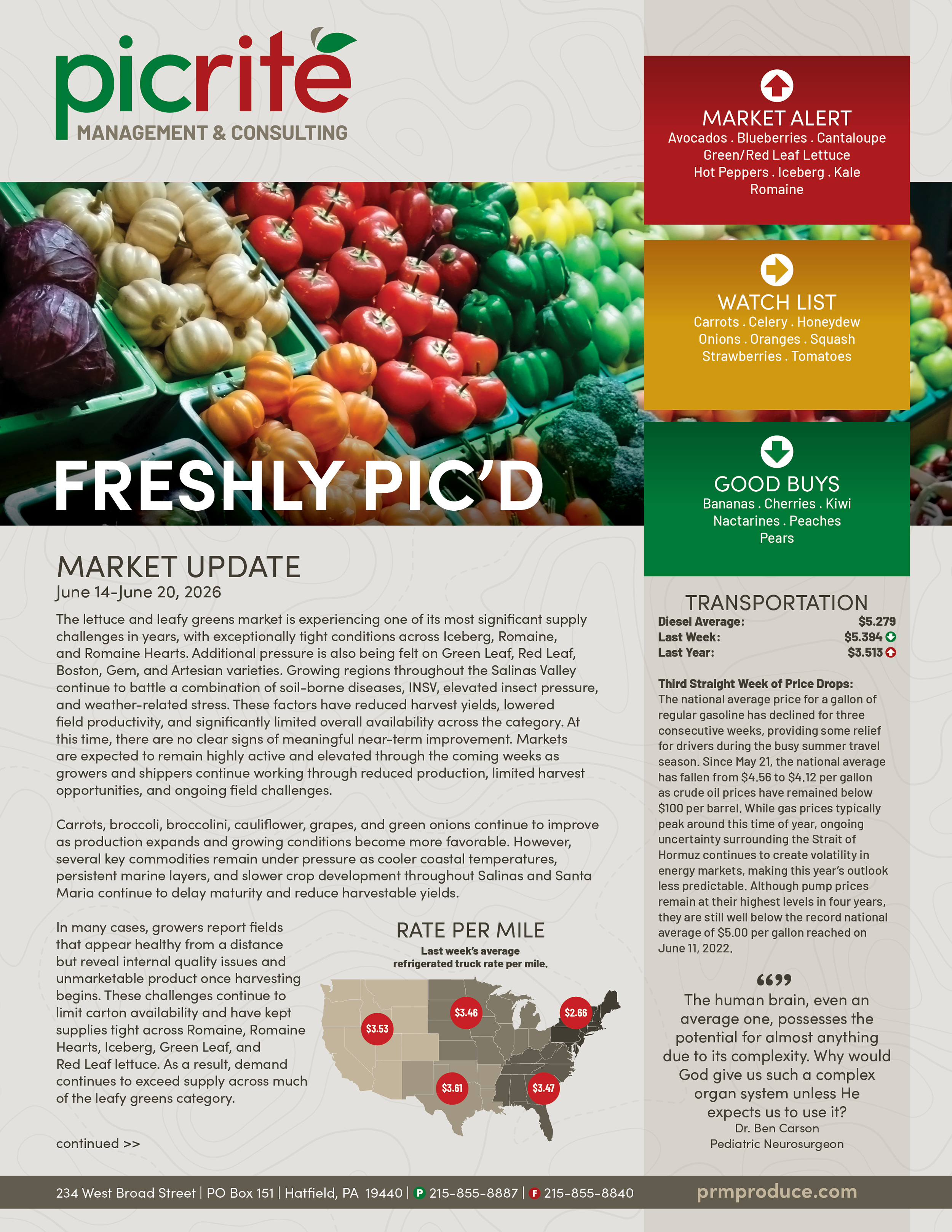 PIC260604_Newsletter25_01.png