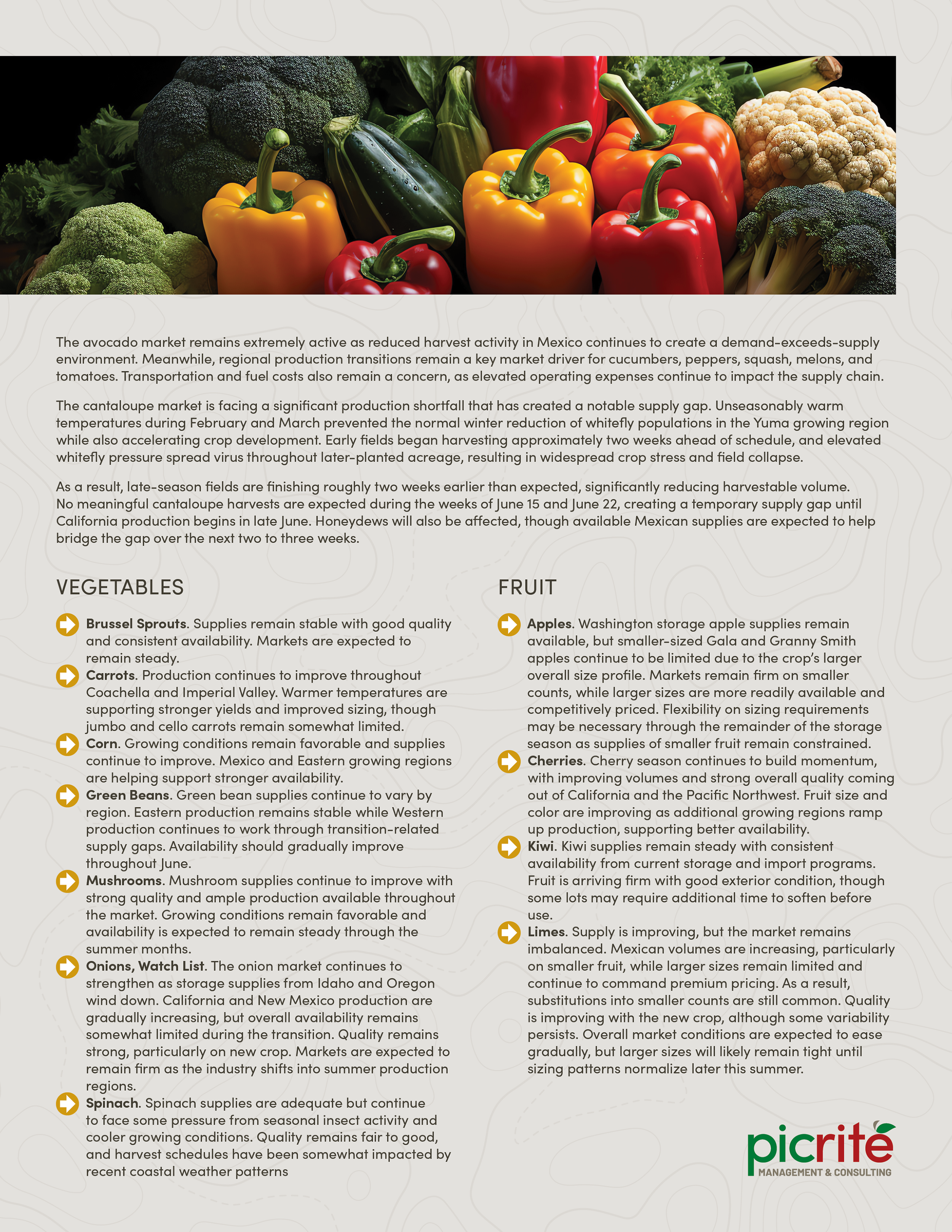PIC260604_Newsletter25_02.png