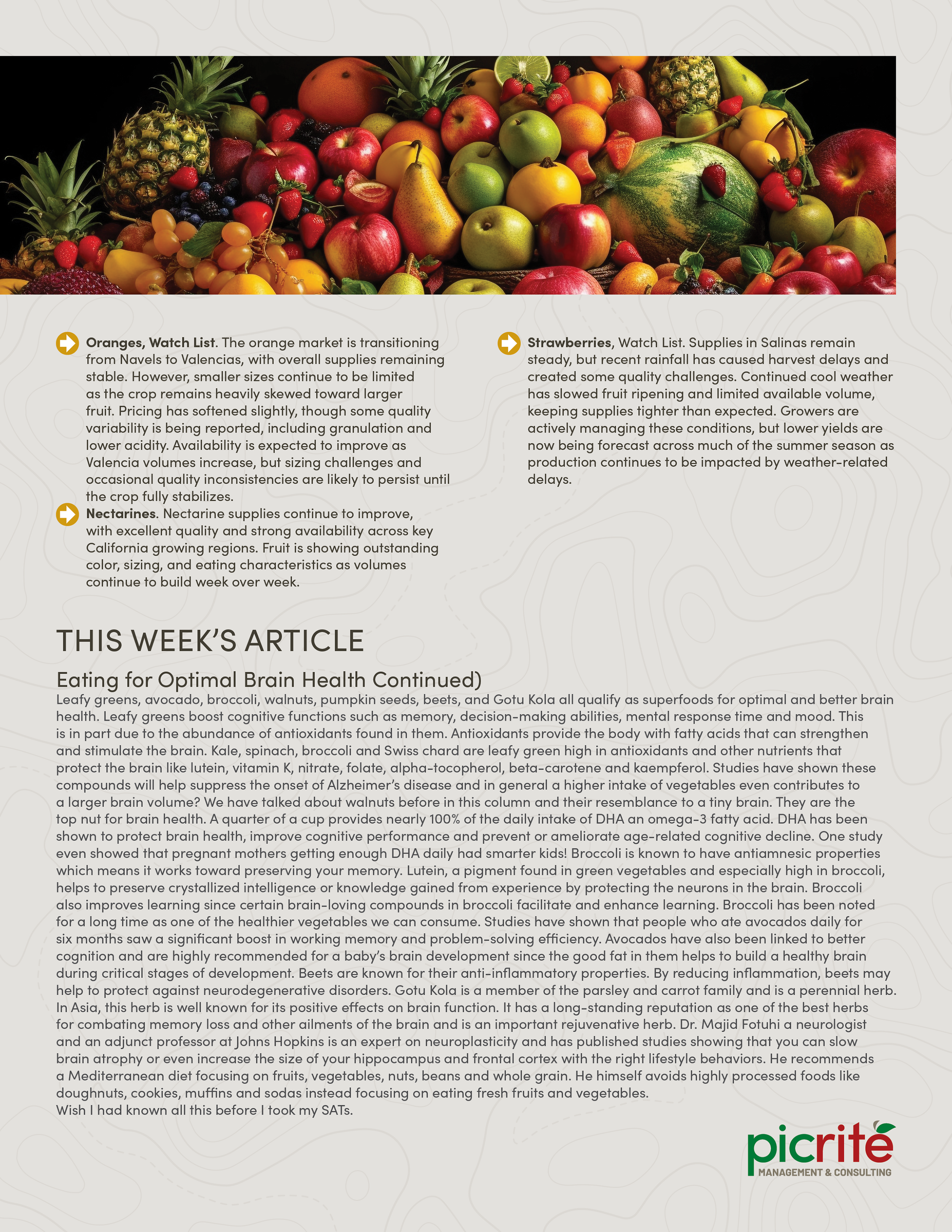 PIC260604_Newsletter25_03.png