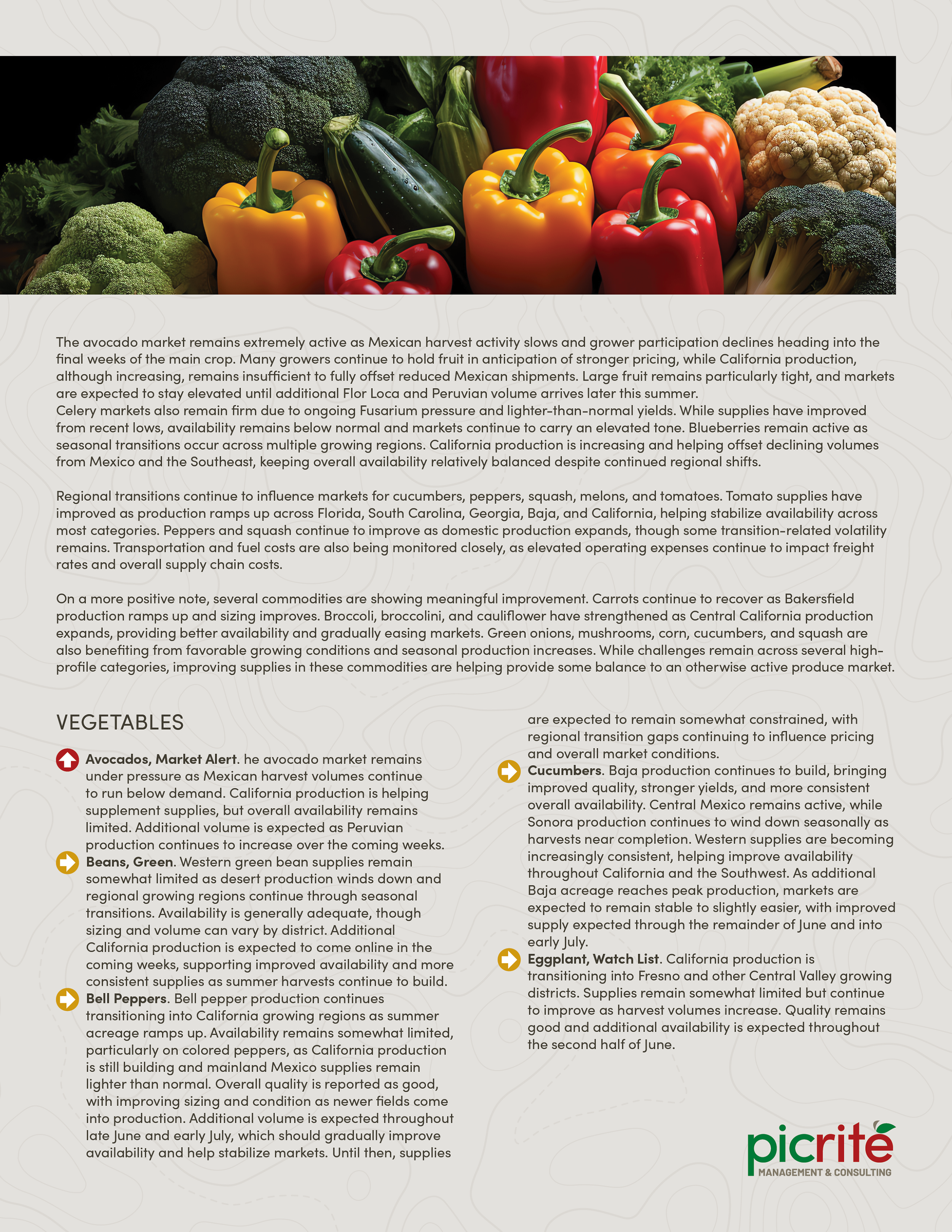 PIC260604_Newsletter26_02.png