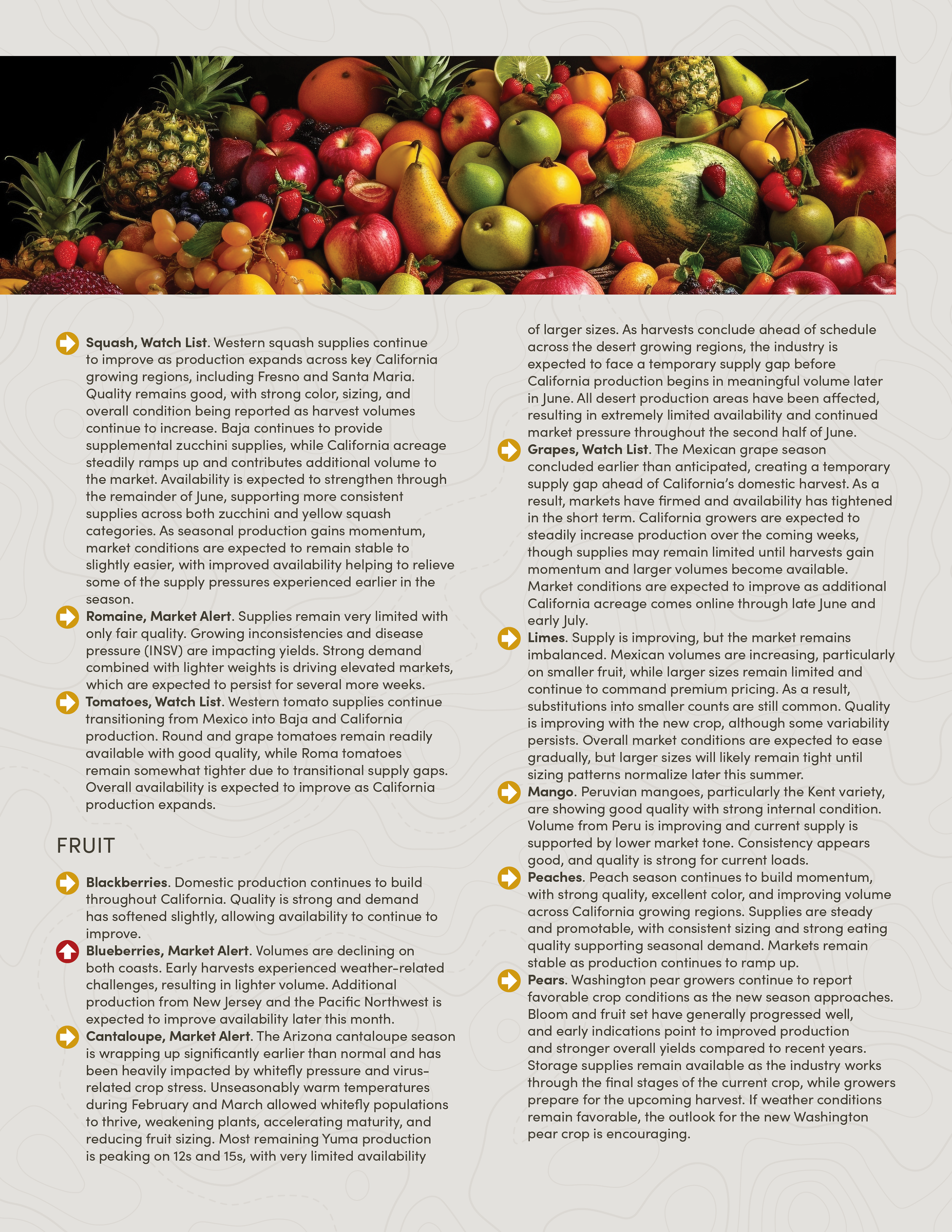 PIC260604_Newsletter26_03.png