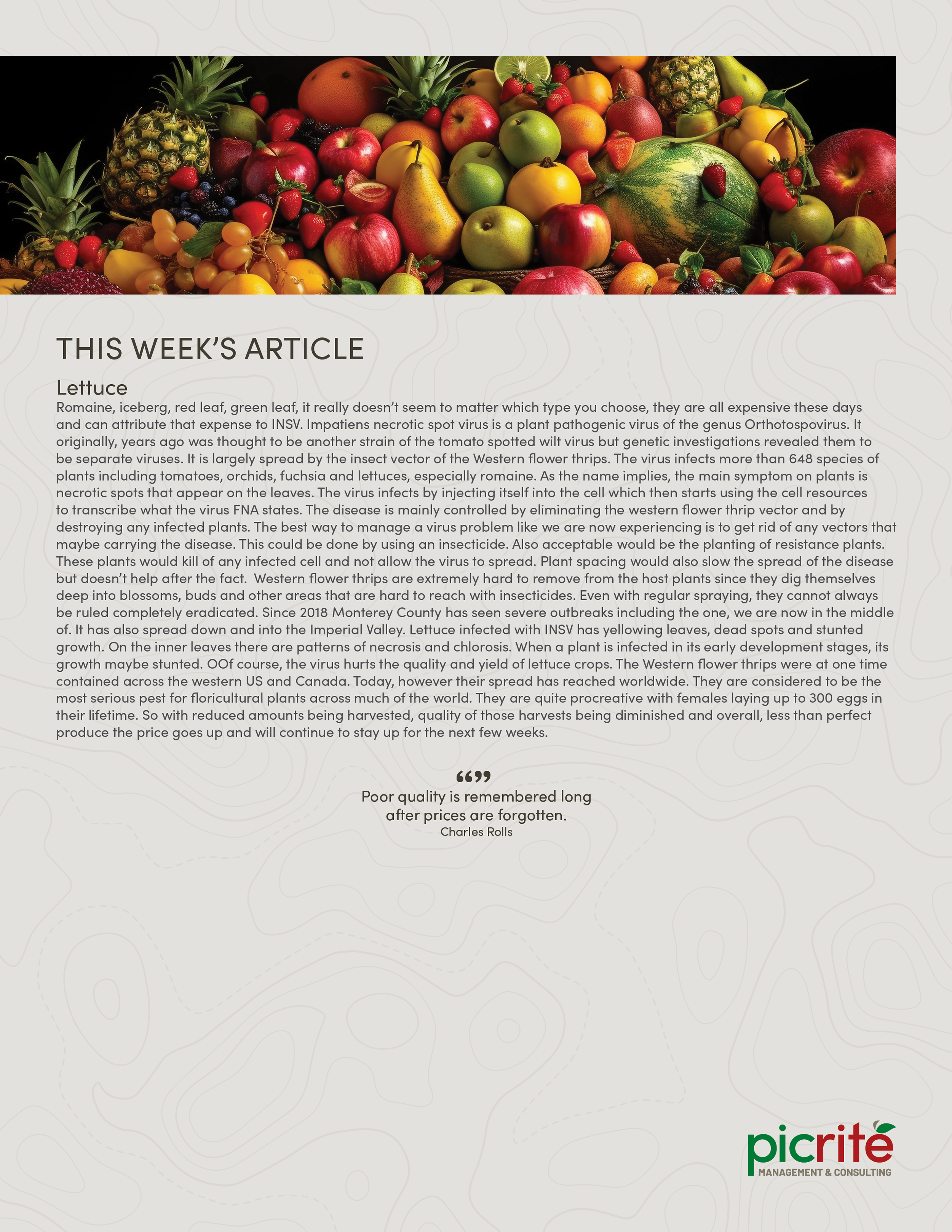 PIC260604_Newsletter26_04.png