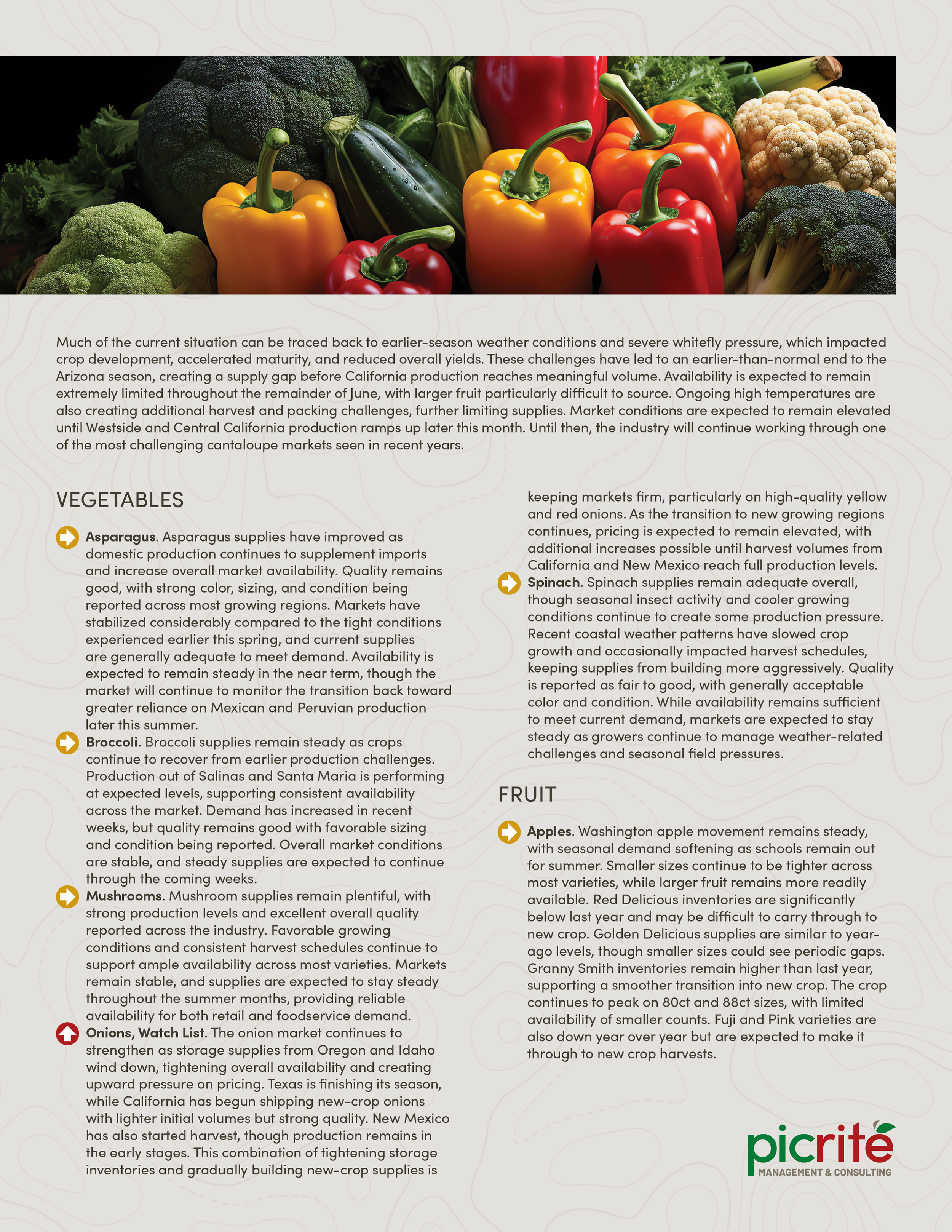 PIC260604_Newsletter27_Pic02.png