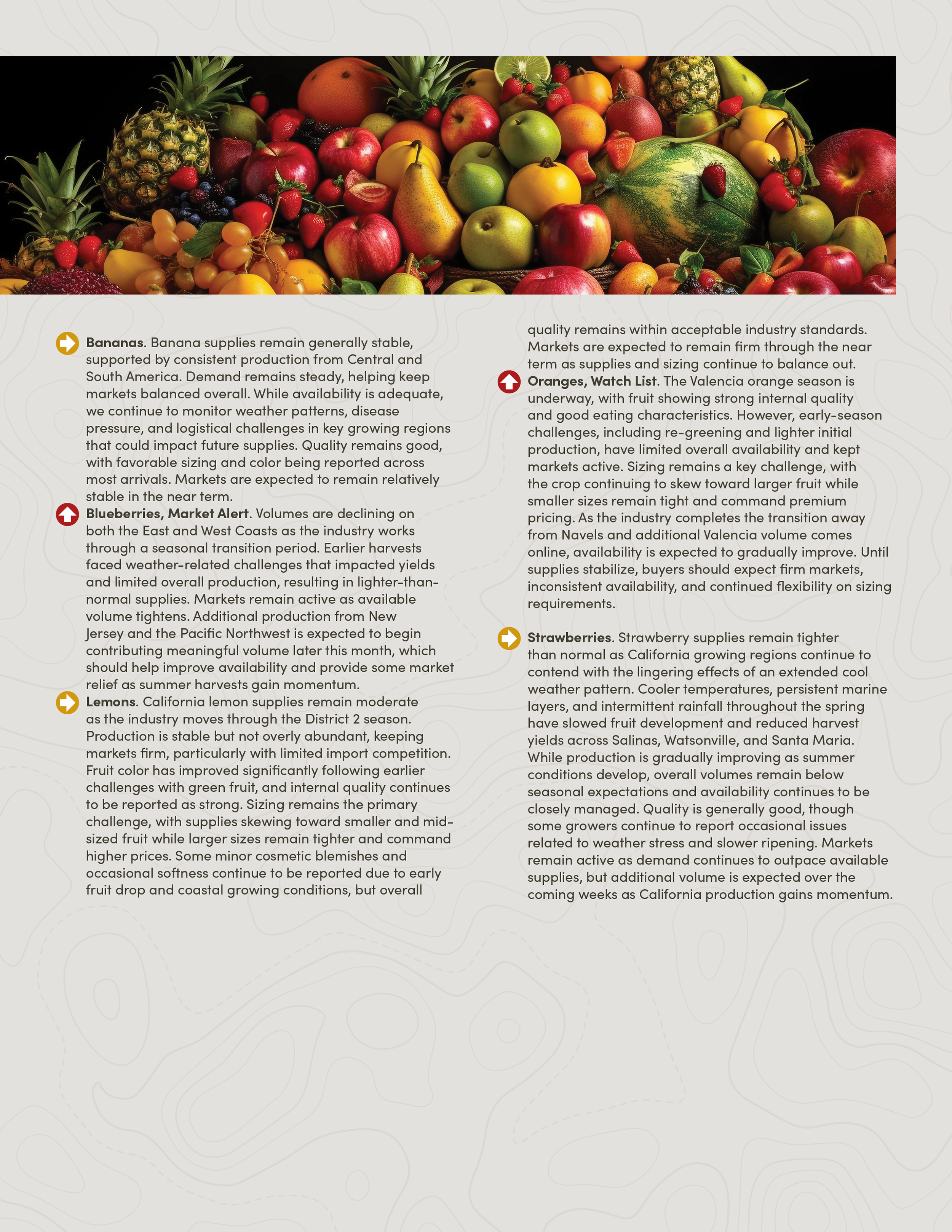 PIC260604_Newsletter27_Pic03.png