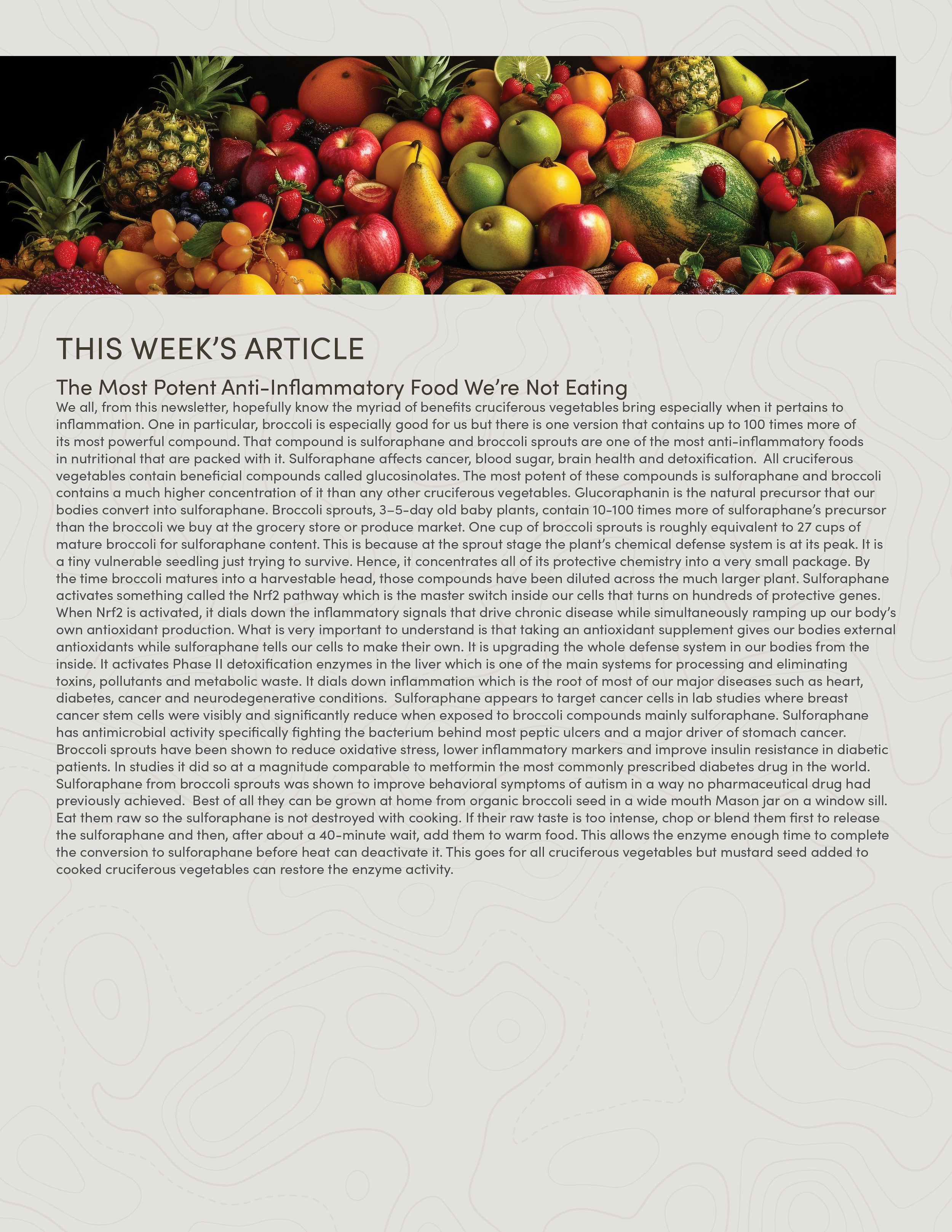 PIC260604_Newsletter28_03.png
