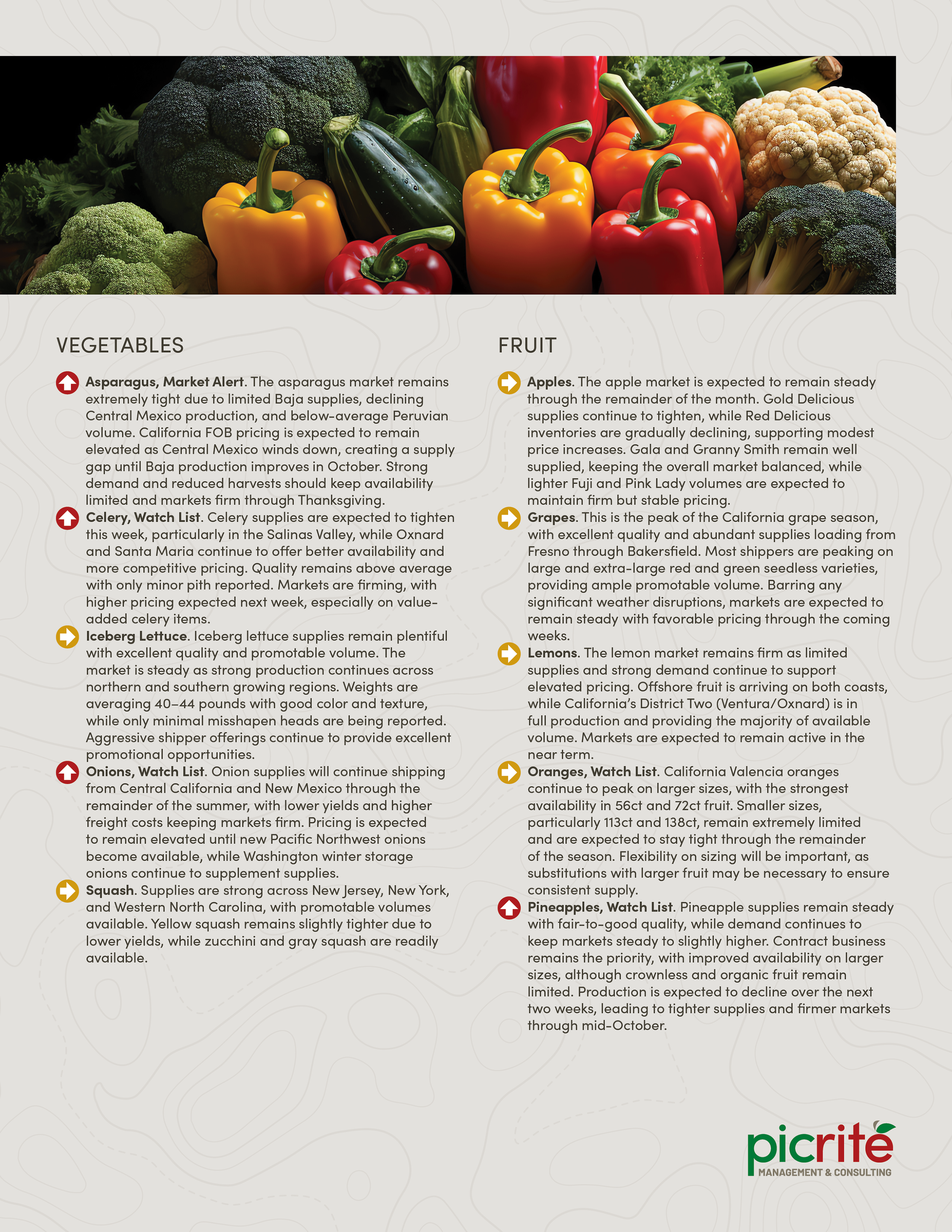 PIC260708_Newsletter31_02.png
