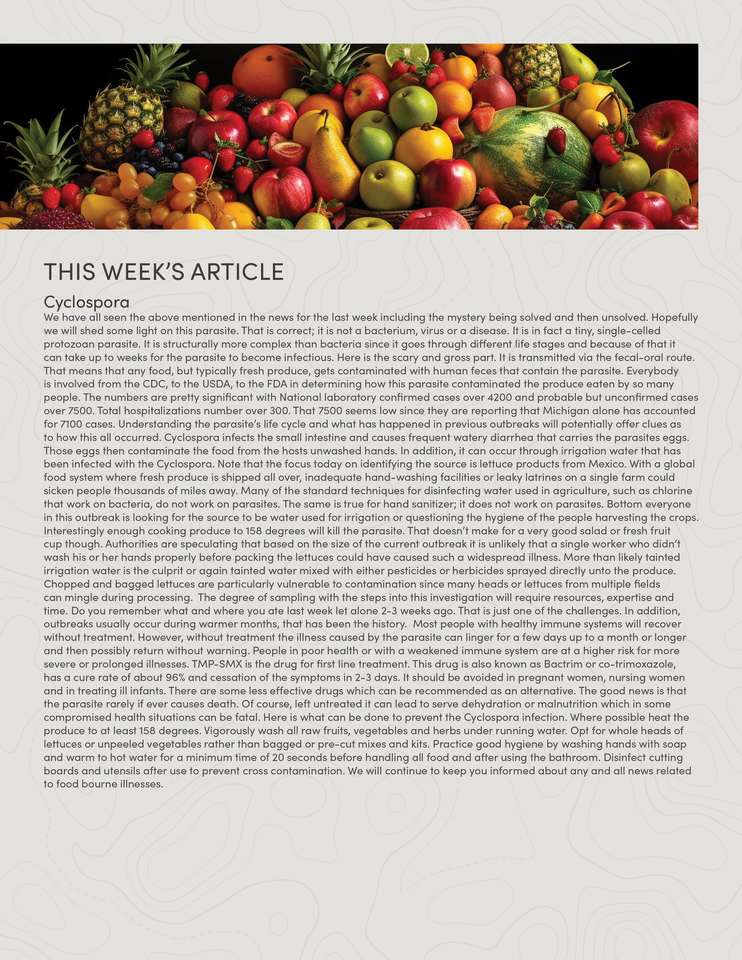 PIC260708_Newsletter31_03.png