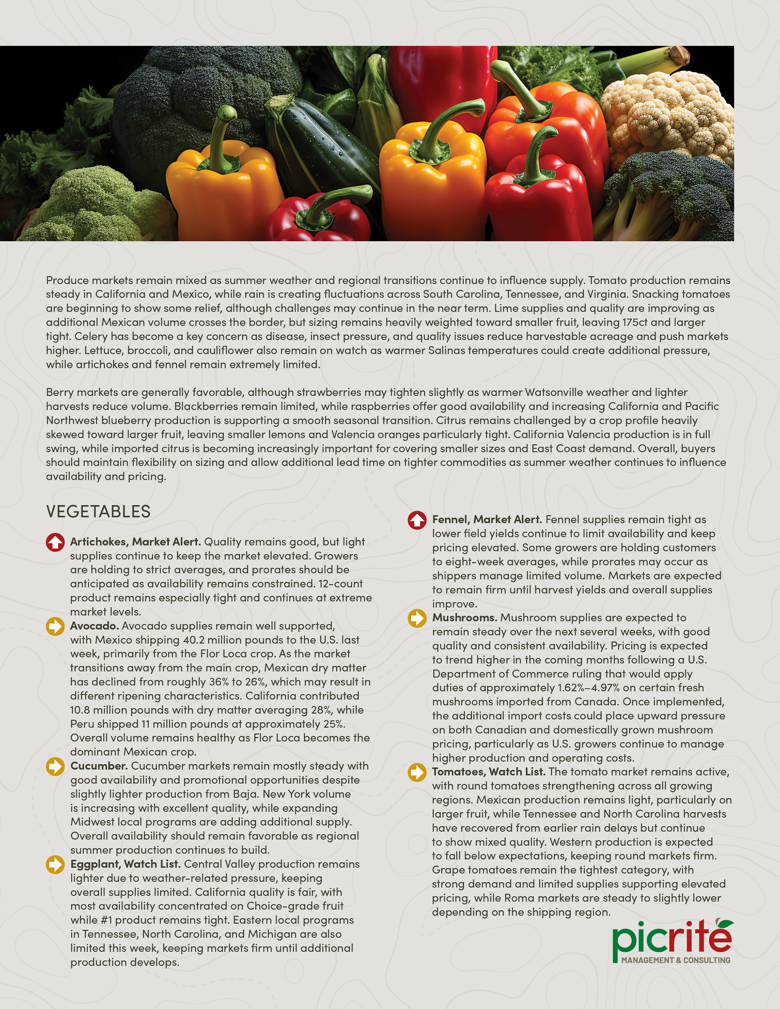 PIC260708_Newsletter32_02.png