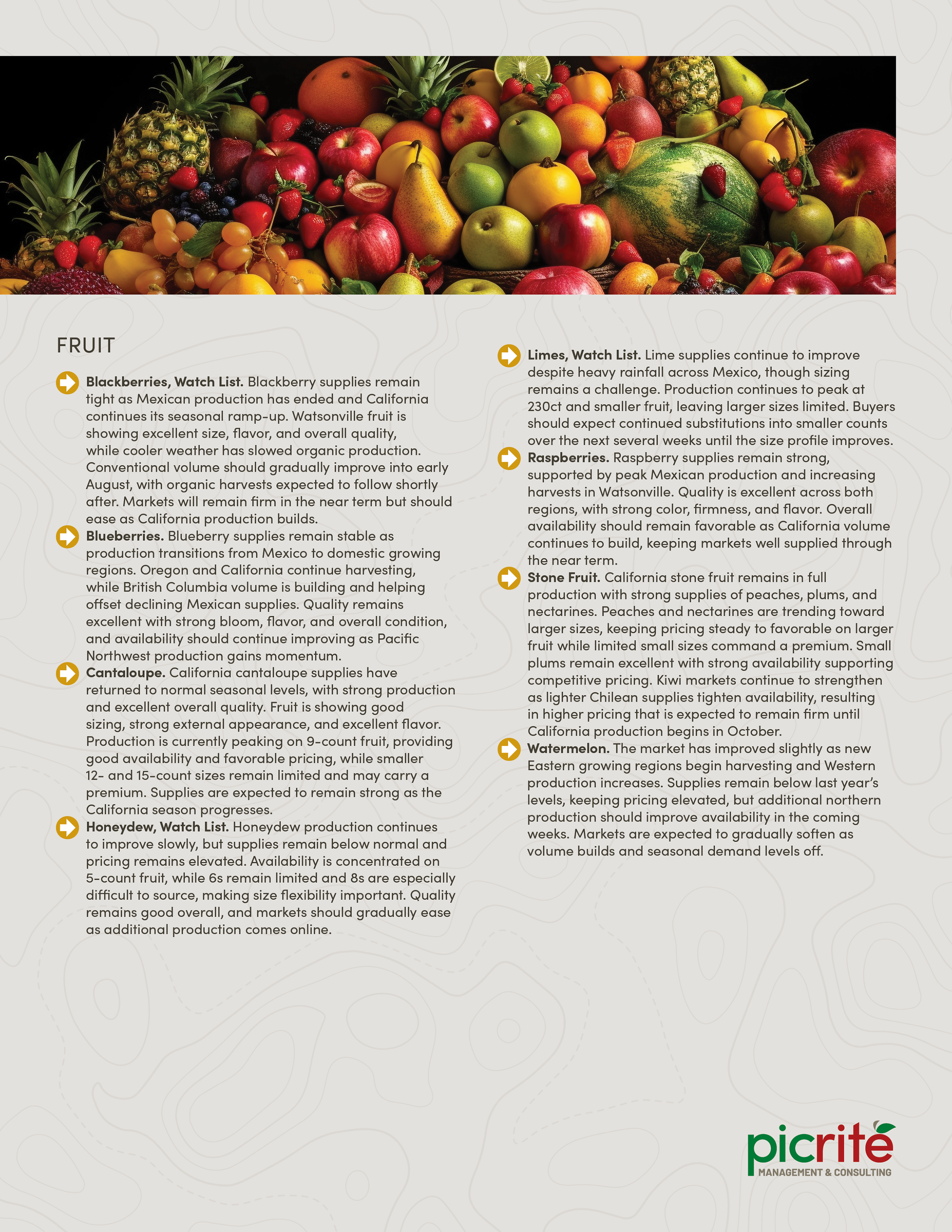 PIC260708_Newsletter32_03.png