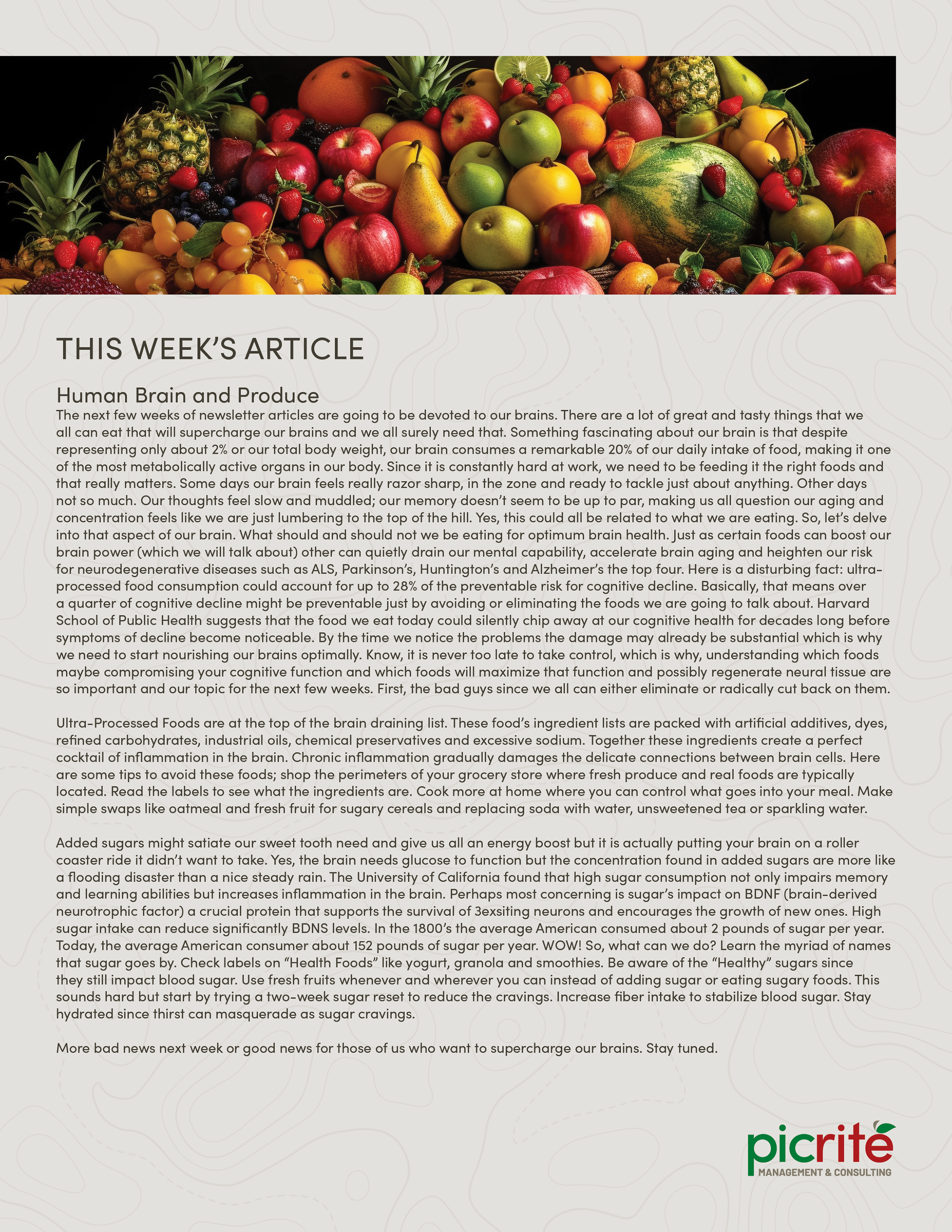 PIC260708_Newsletter32_04.png