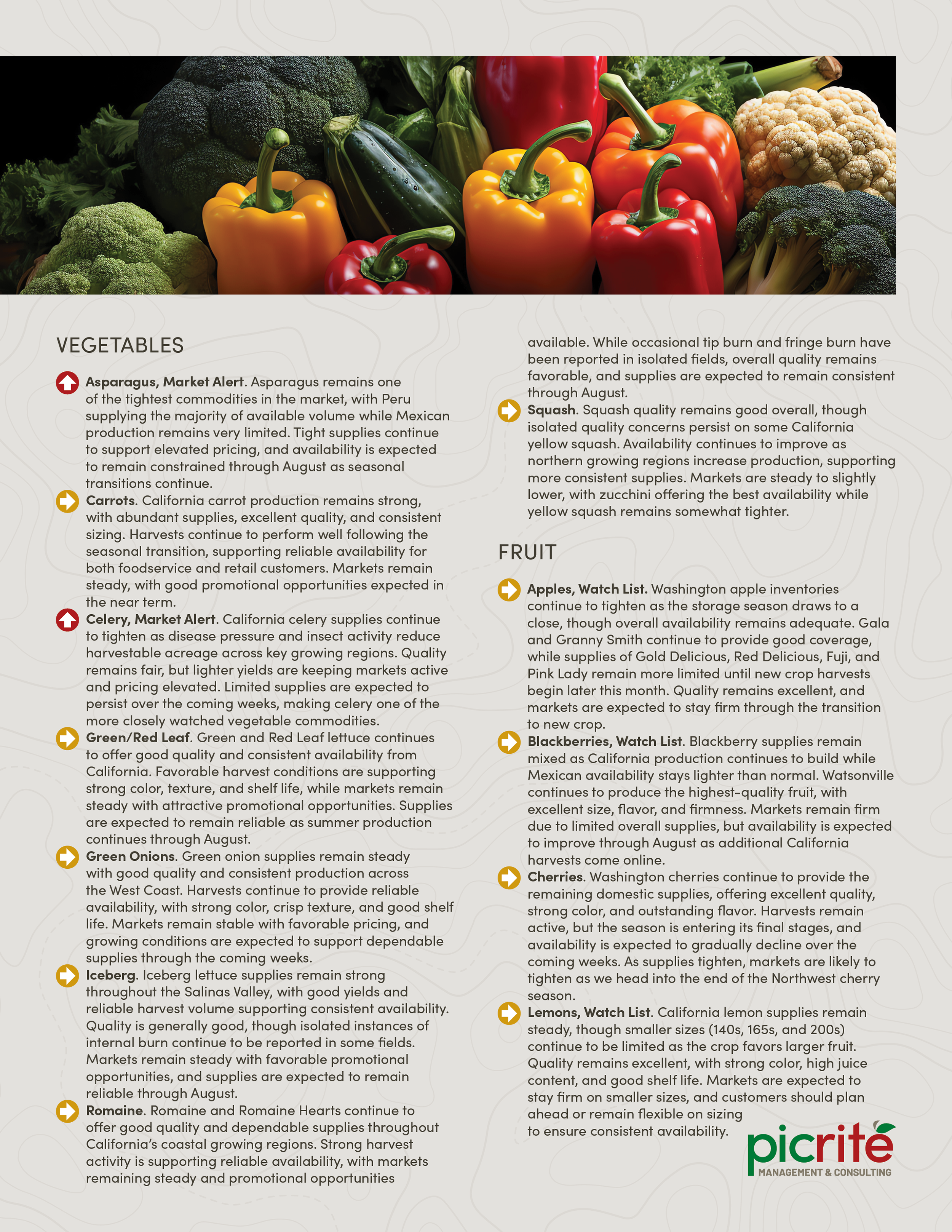 PIC260805_Newsletter33_02.png