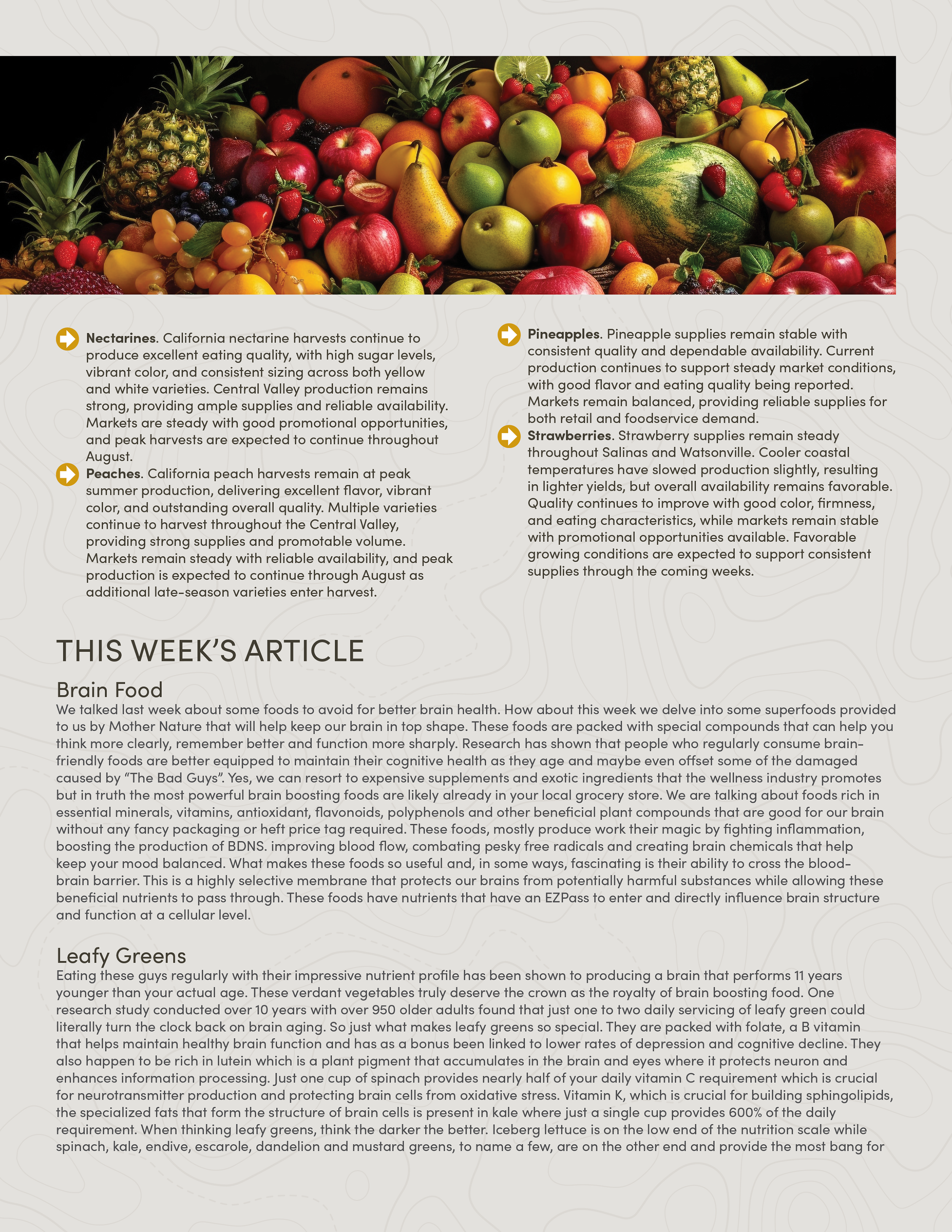 PIC260805_Newsletter33_03.png