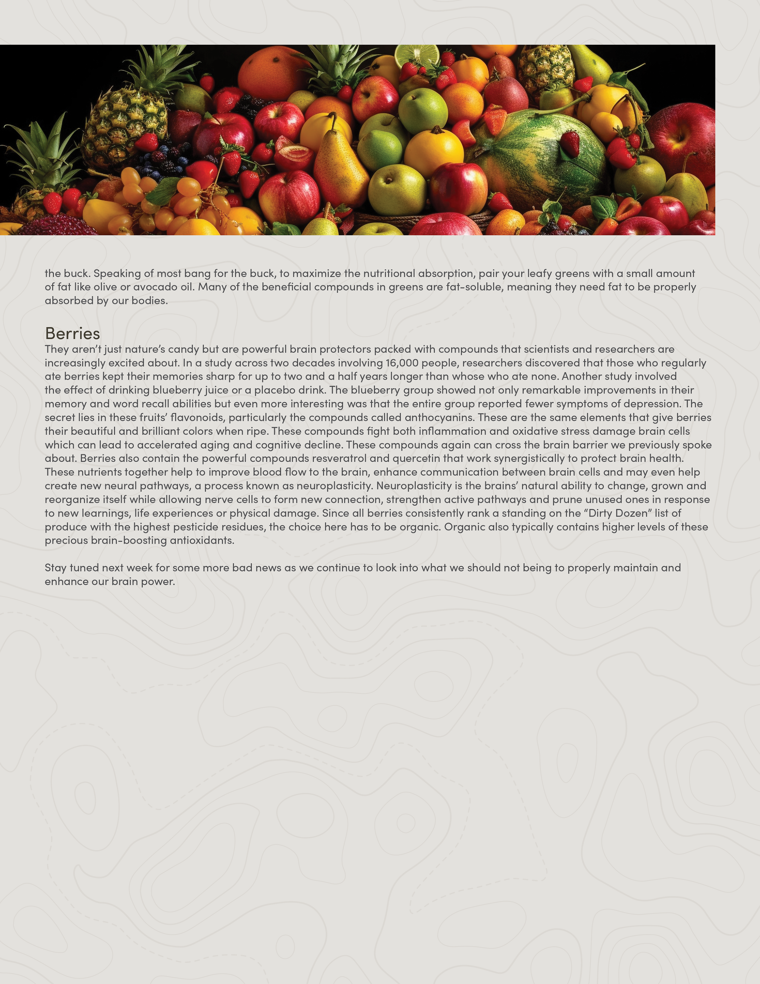 PIC260805_Newsletter33_04.png