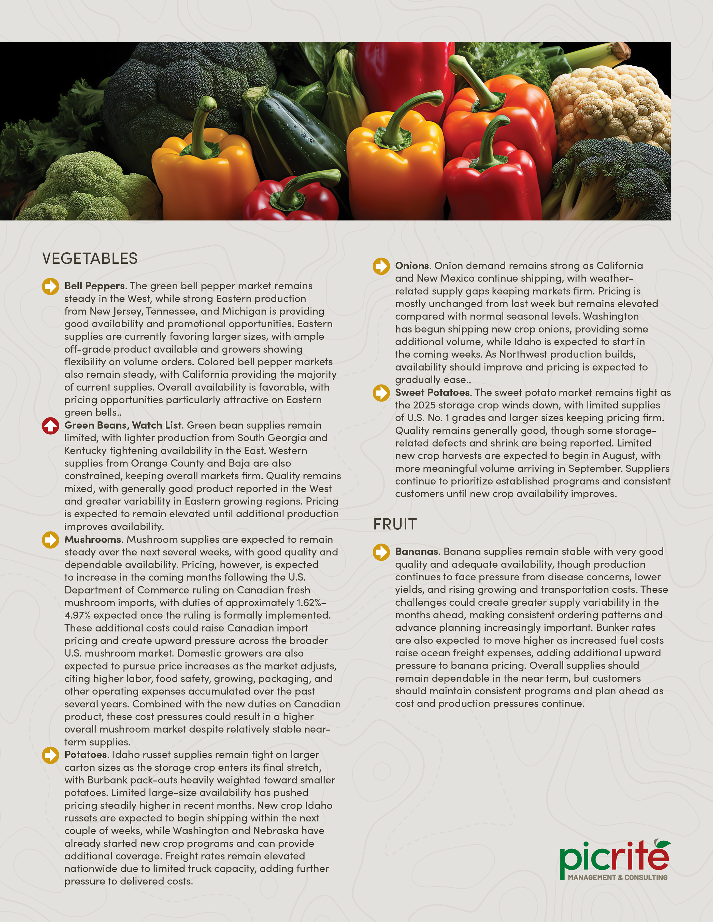 PIC260805_Newsletter34_02.png