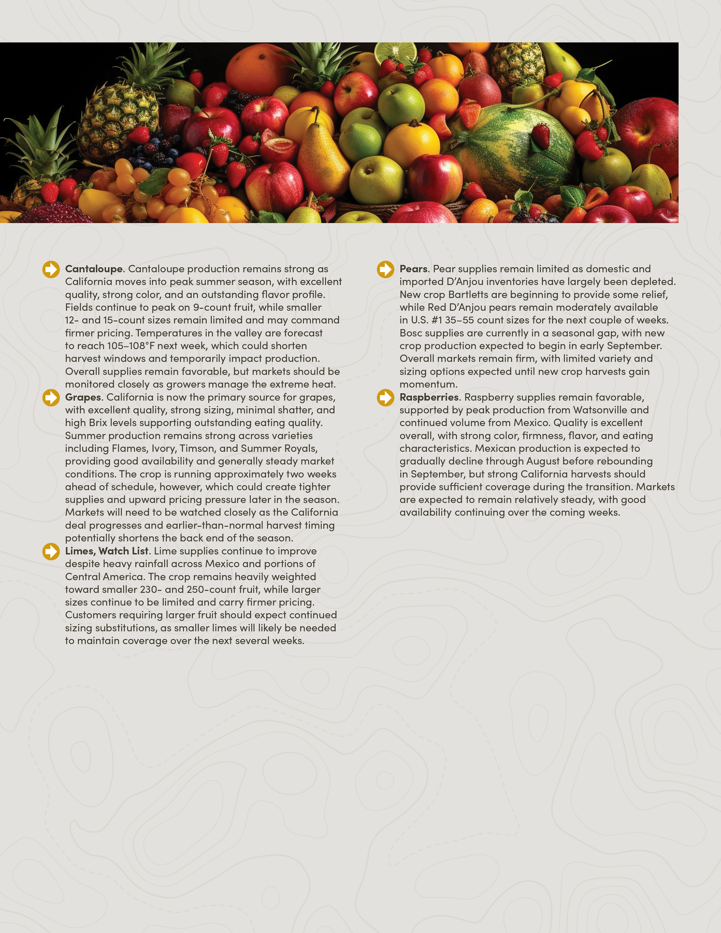 PIC260805_Newsletter34_03.png