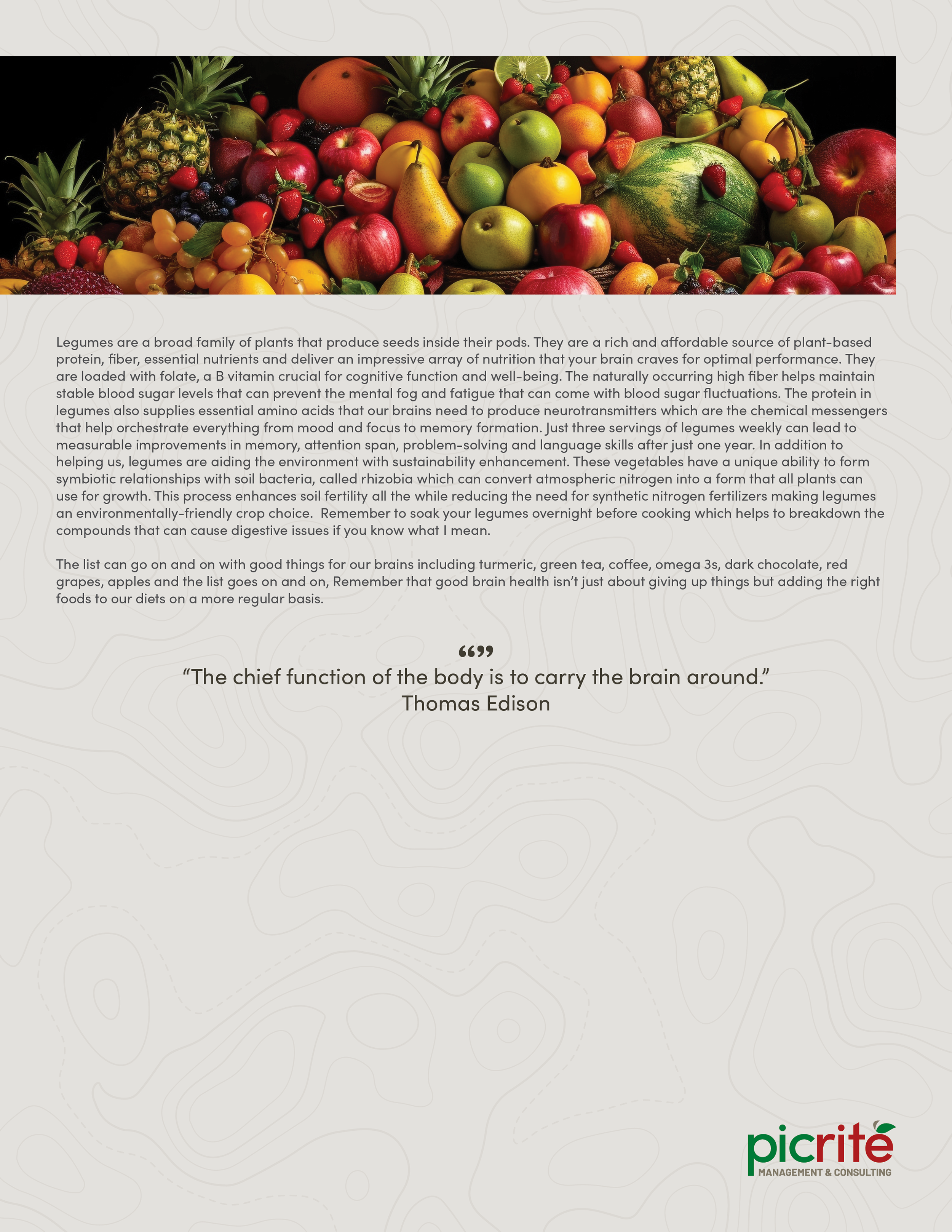 PIC260805_Newsletter37_04.png