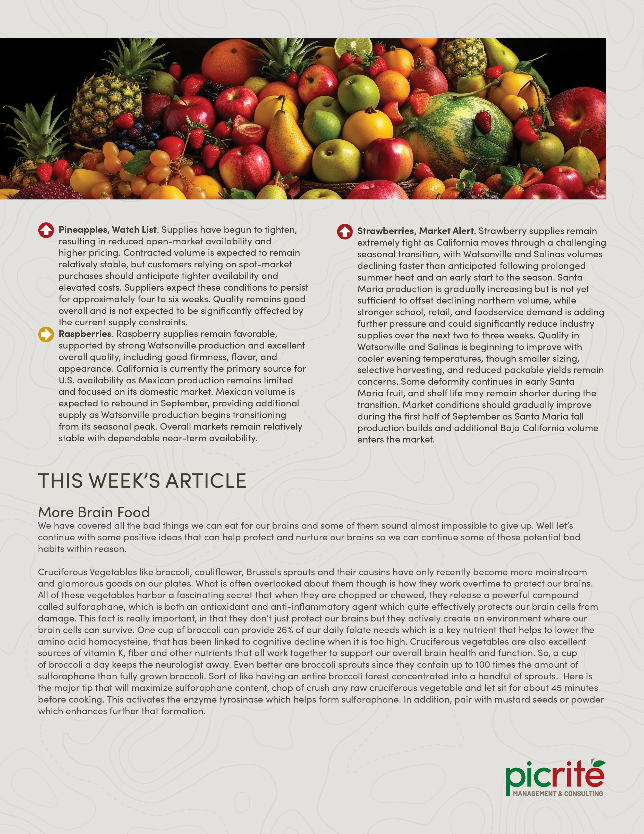 PIC260805_Newsletter37_03.png