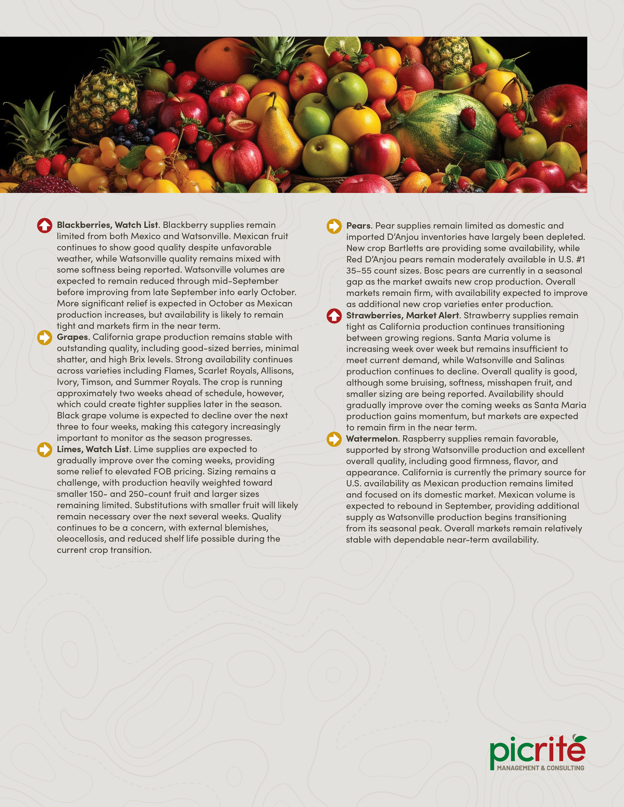 PIC260901_Newsletter38_03.png