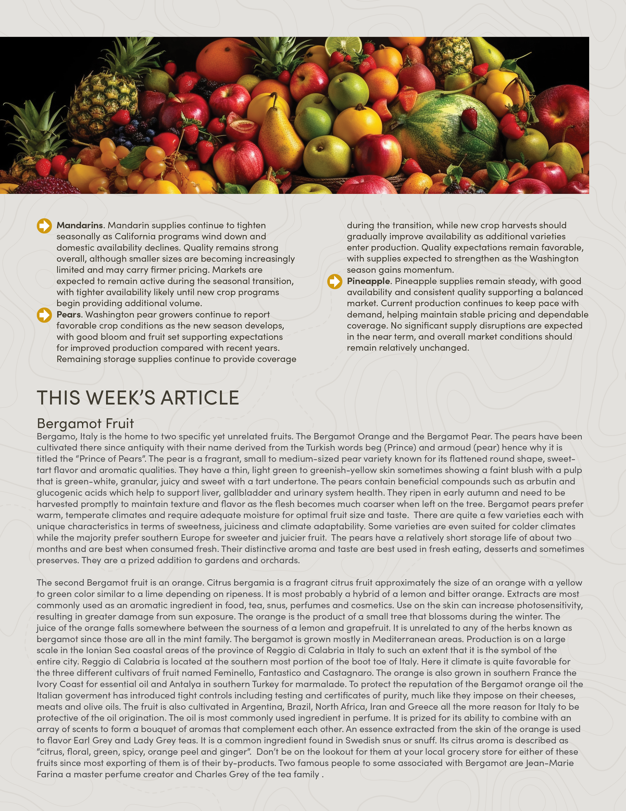 PIC260901_Newsletter39_03.png