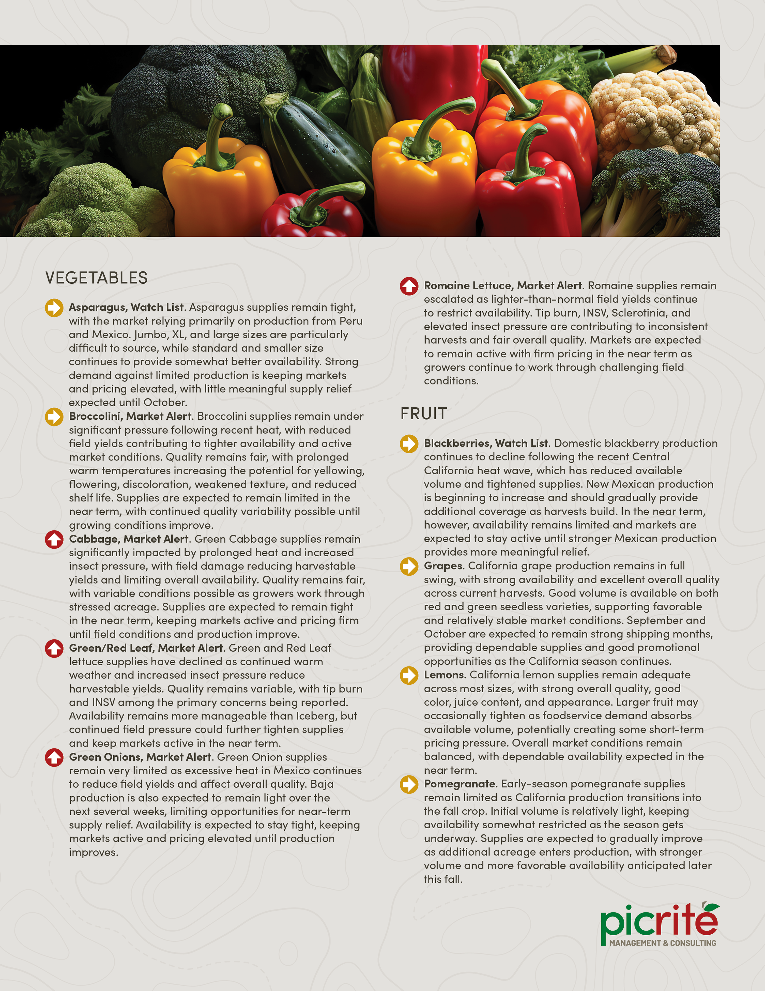 PIC260901_Newsletter40_02.png