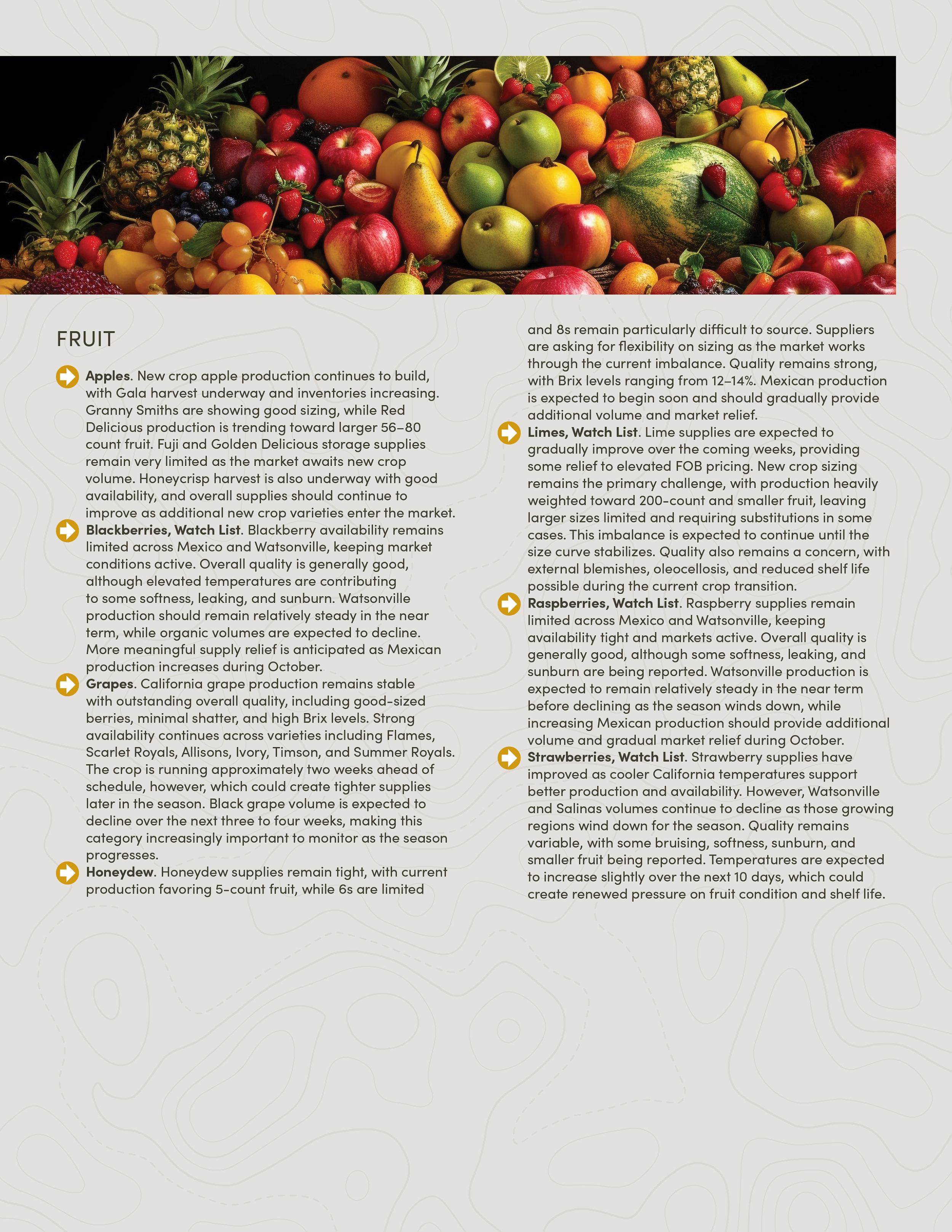PIC261007_Newsletter42_03.png