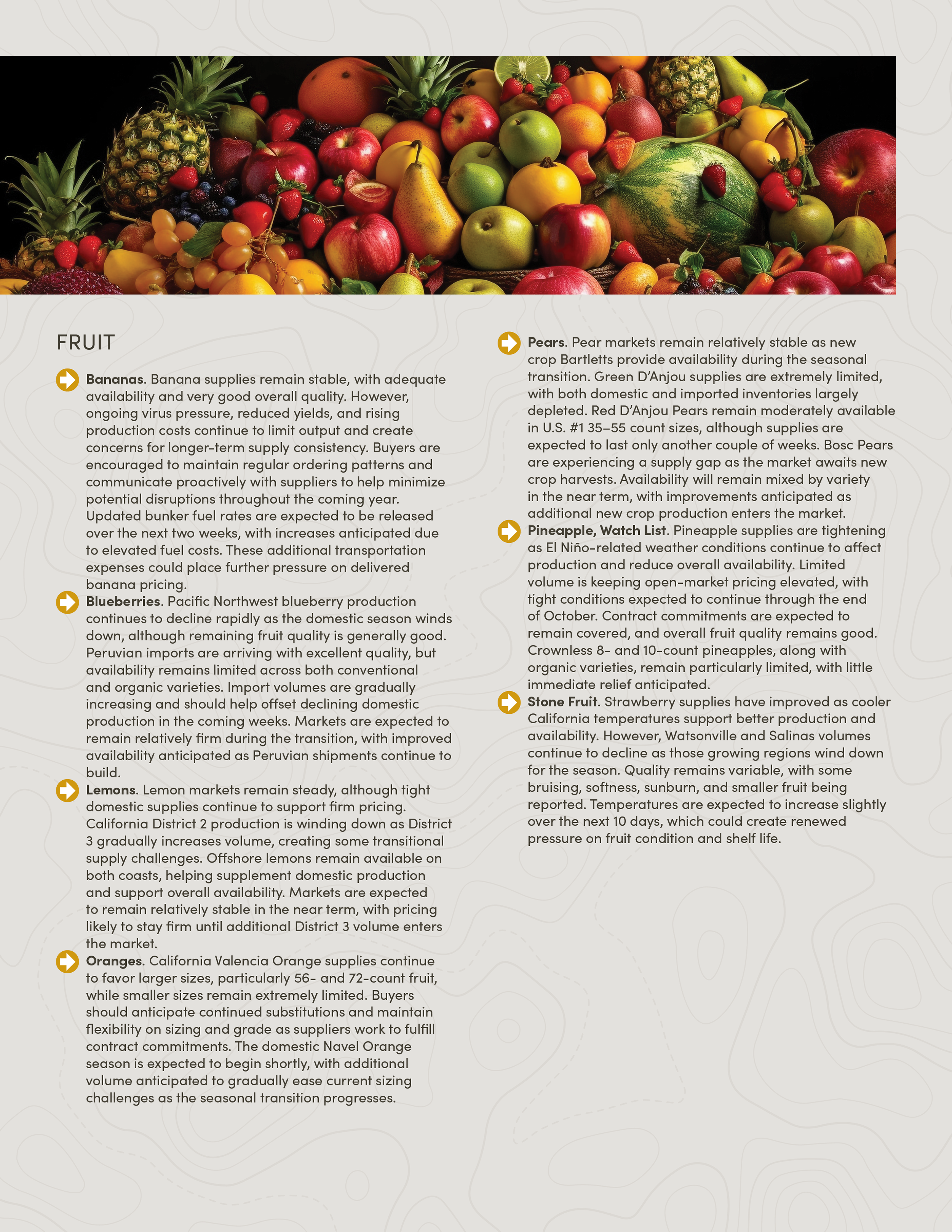PIC261007_Newsletter43_03.png
