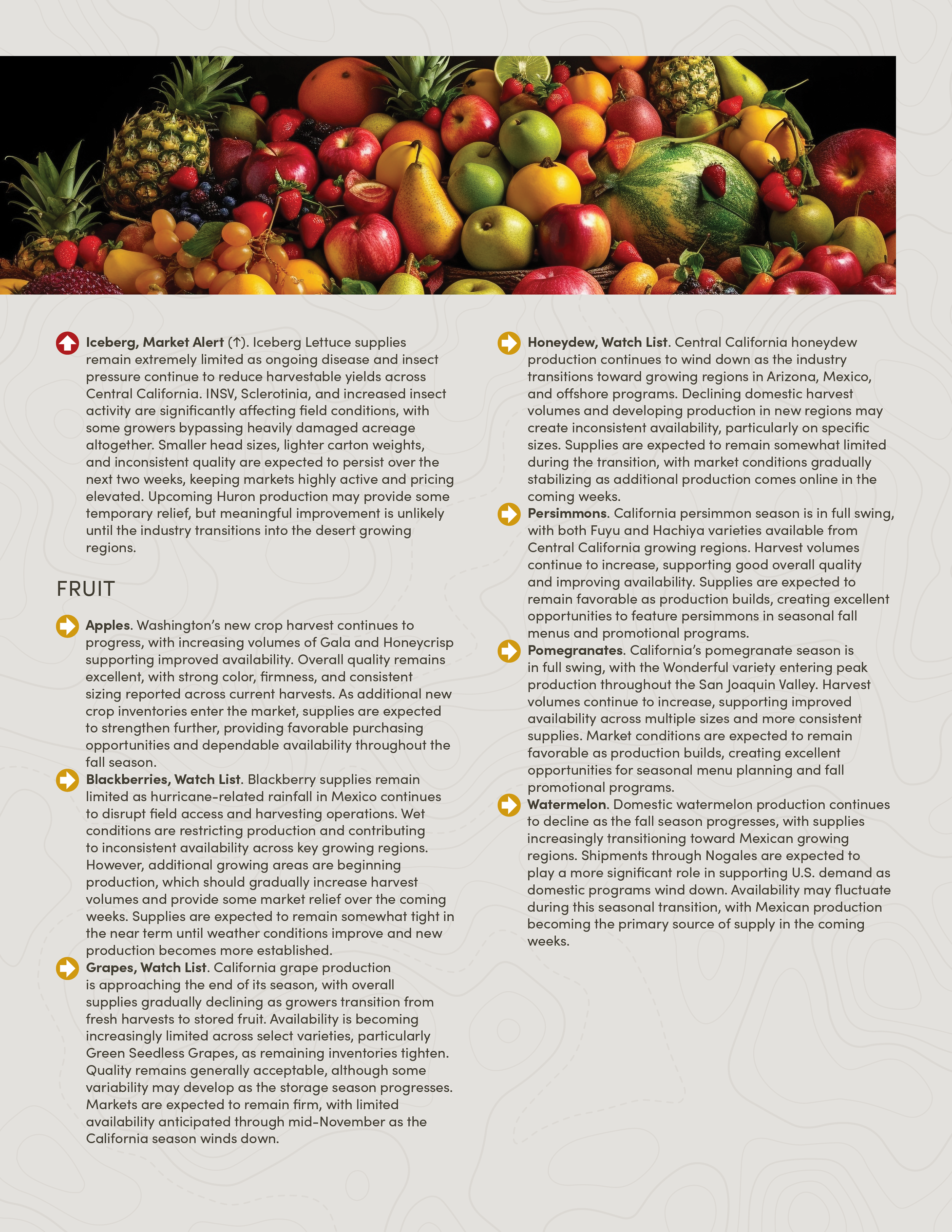 PIC261007_Newsletter44_03.png