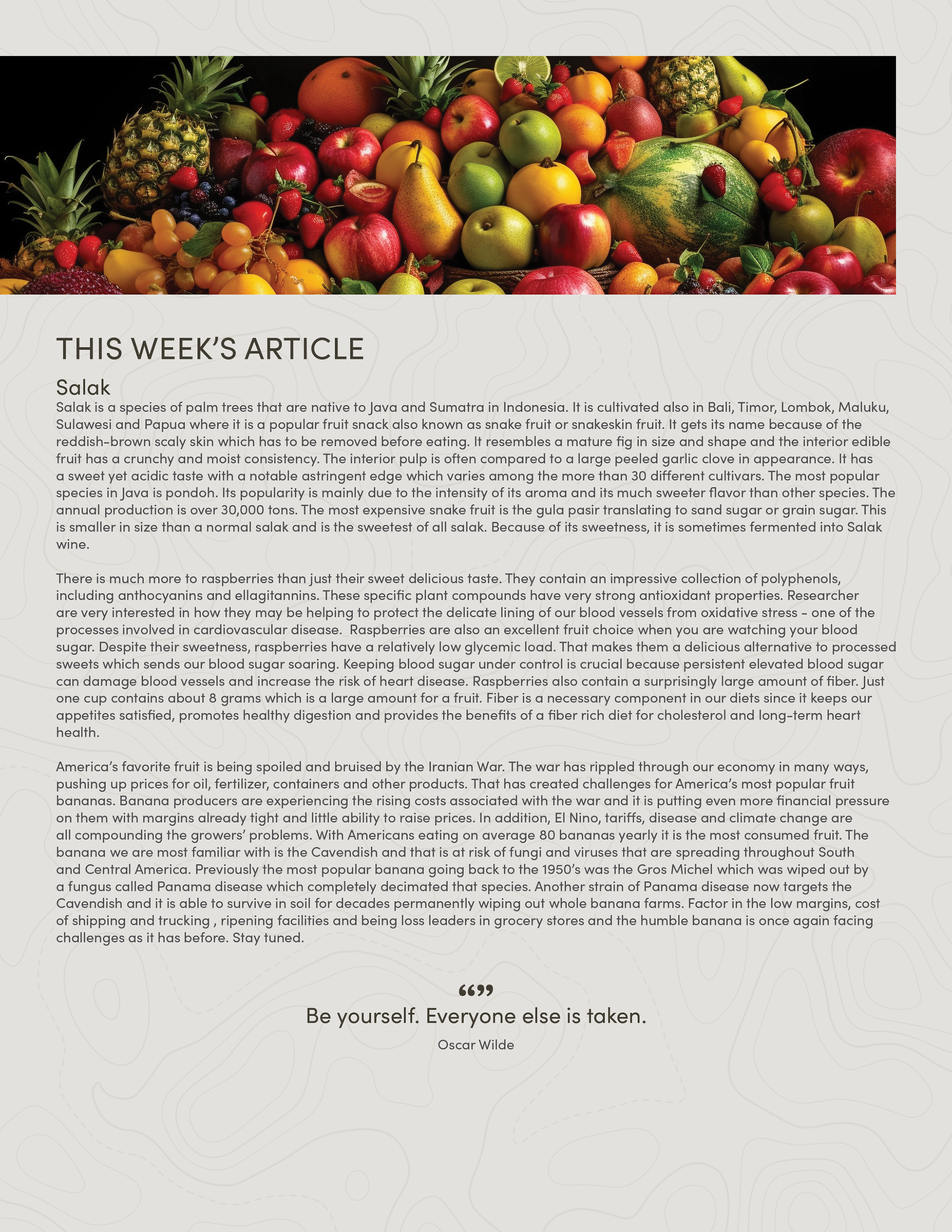 PIC261007_Newsletter44_04.png