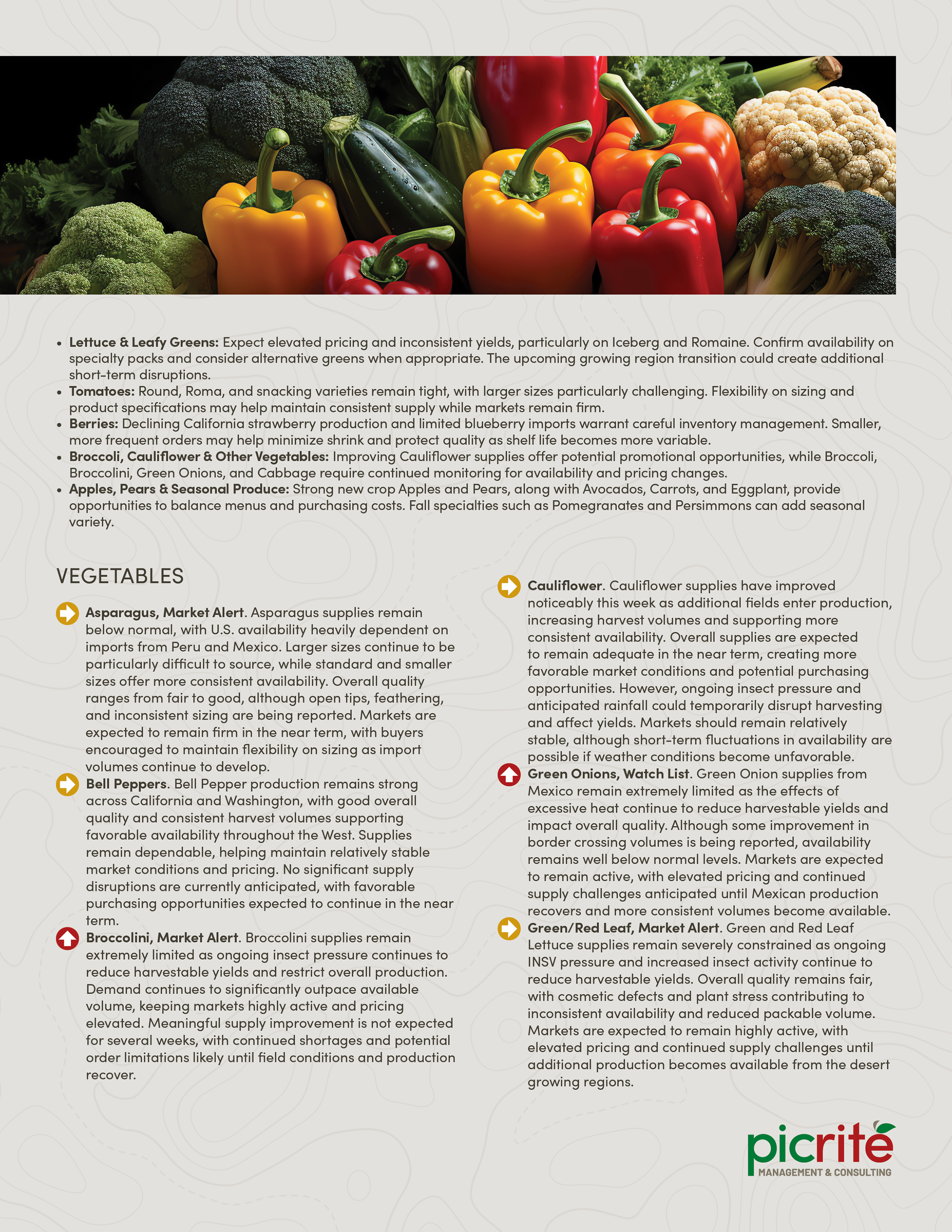 PIC261007_Newsletter44_02.png