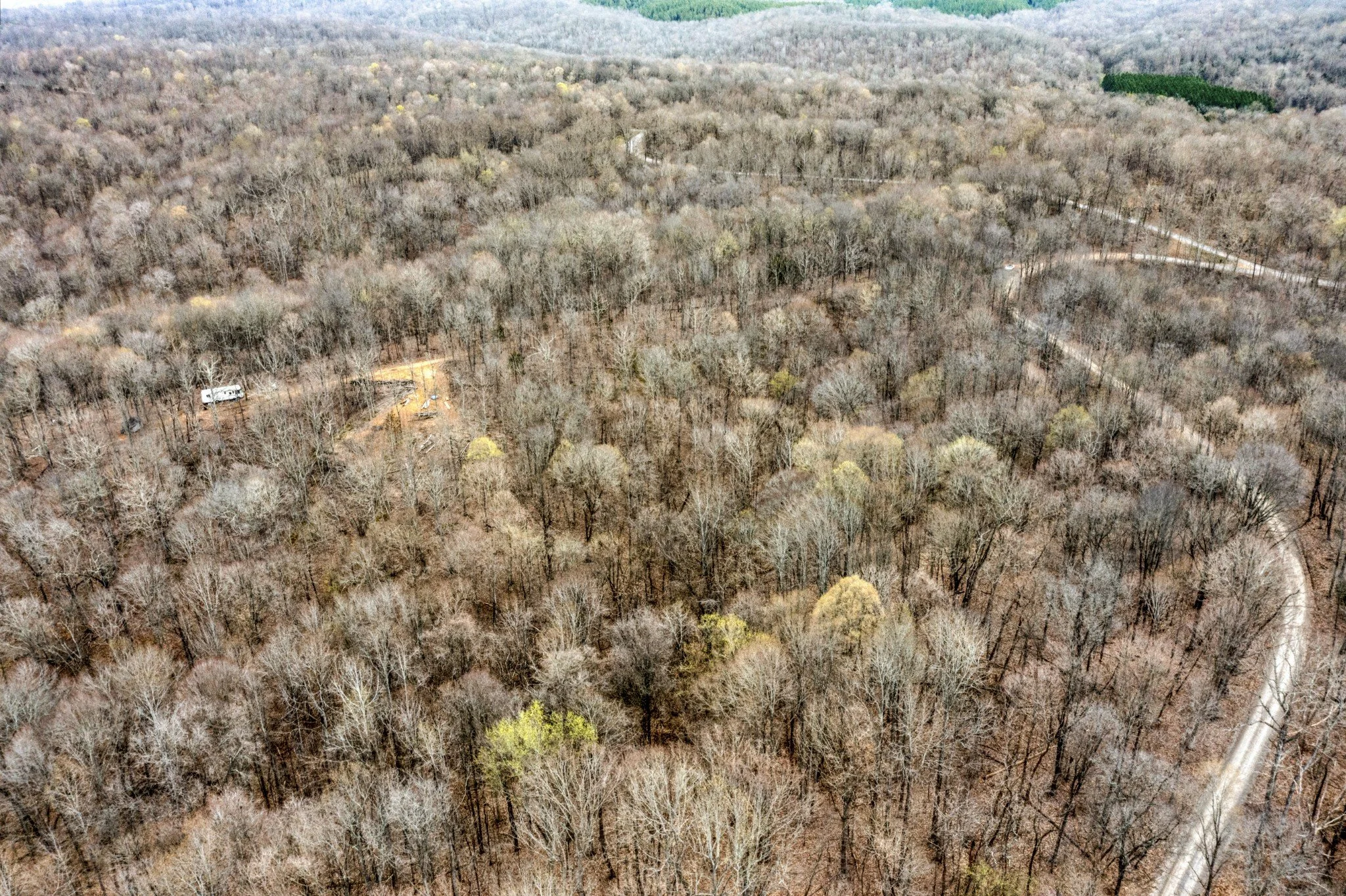 260 Lineport Rd - Bumpus Mills, TN