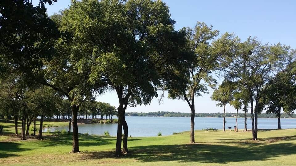 A peaceful park with trees along a lakeshore, picnic tables, and a clear blue sky.