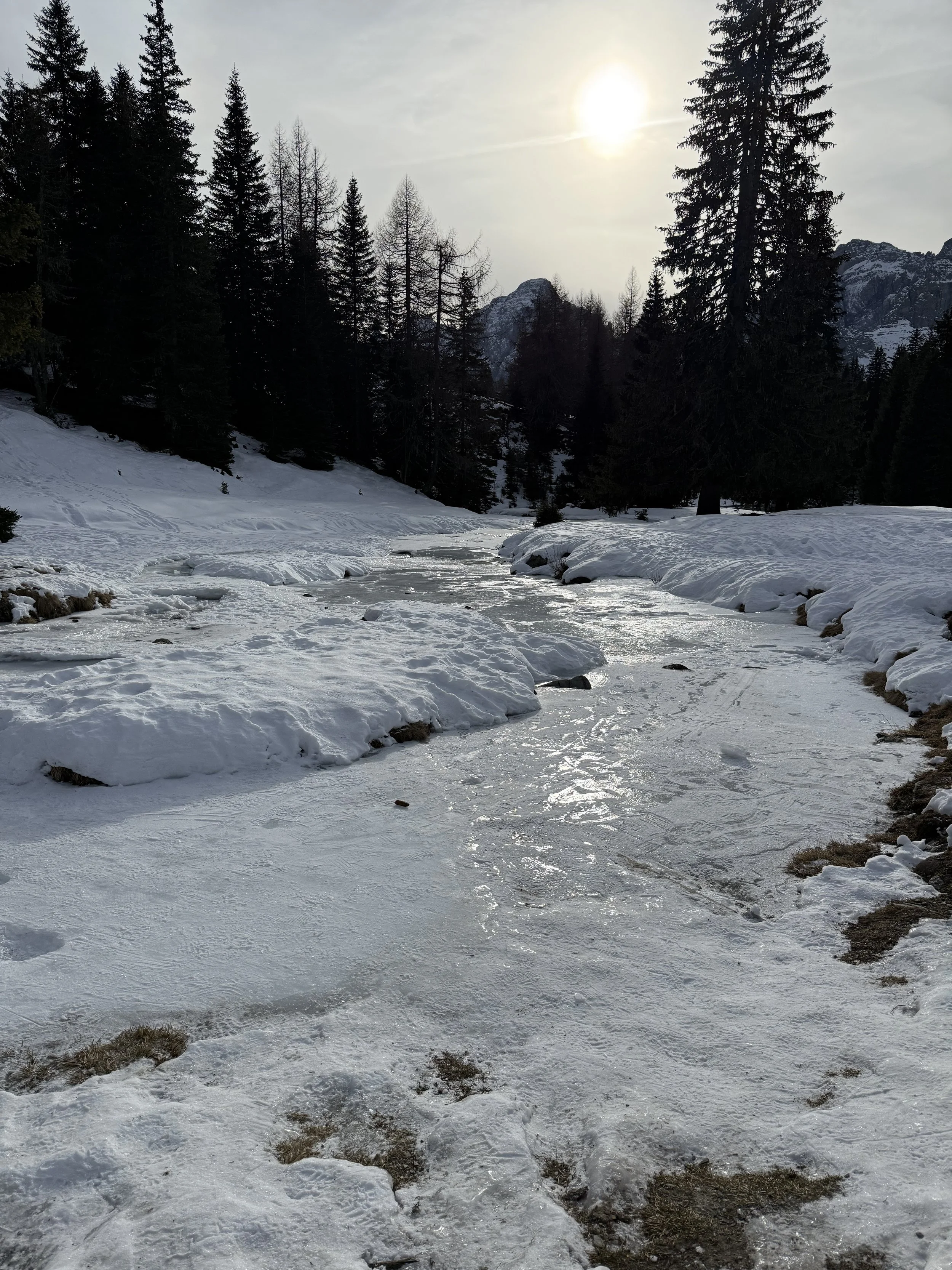 Paesaggio montano con un fiume ghiacciato e alberi di conifere, con il sole che tramonta o sorge dietro le montagne innevate.