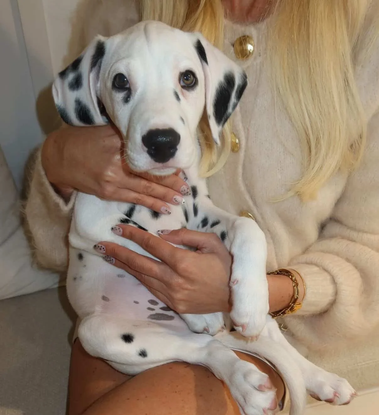 Potts the Dalmation and his mums matching nails 🤍🖤