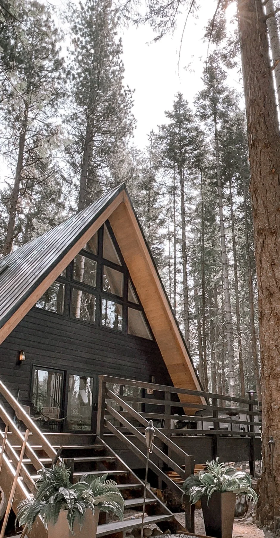 A black A-frame cabin with large windows surrounded by tall pine trees in a forest.