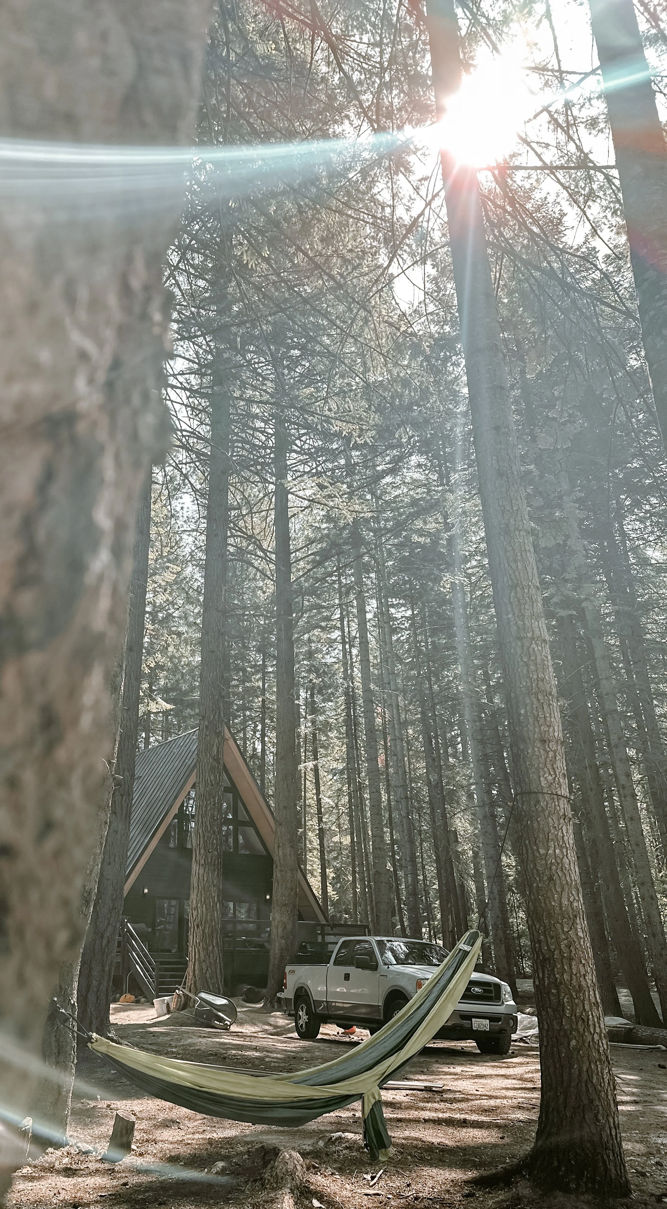 A forest scene with tall trees, sunlight shining through, a hammock tied between two trees, a black house with an A-frame roof, and a white pickup truck parked nearby.