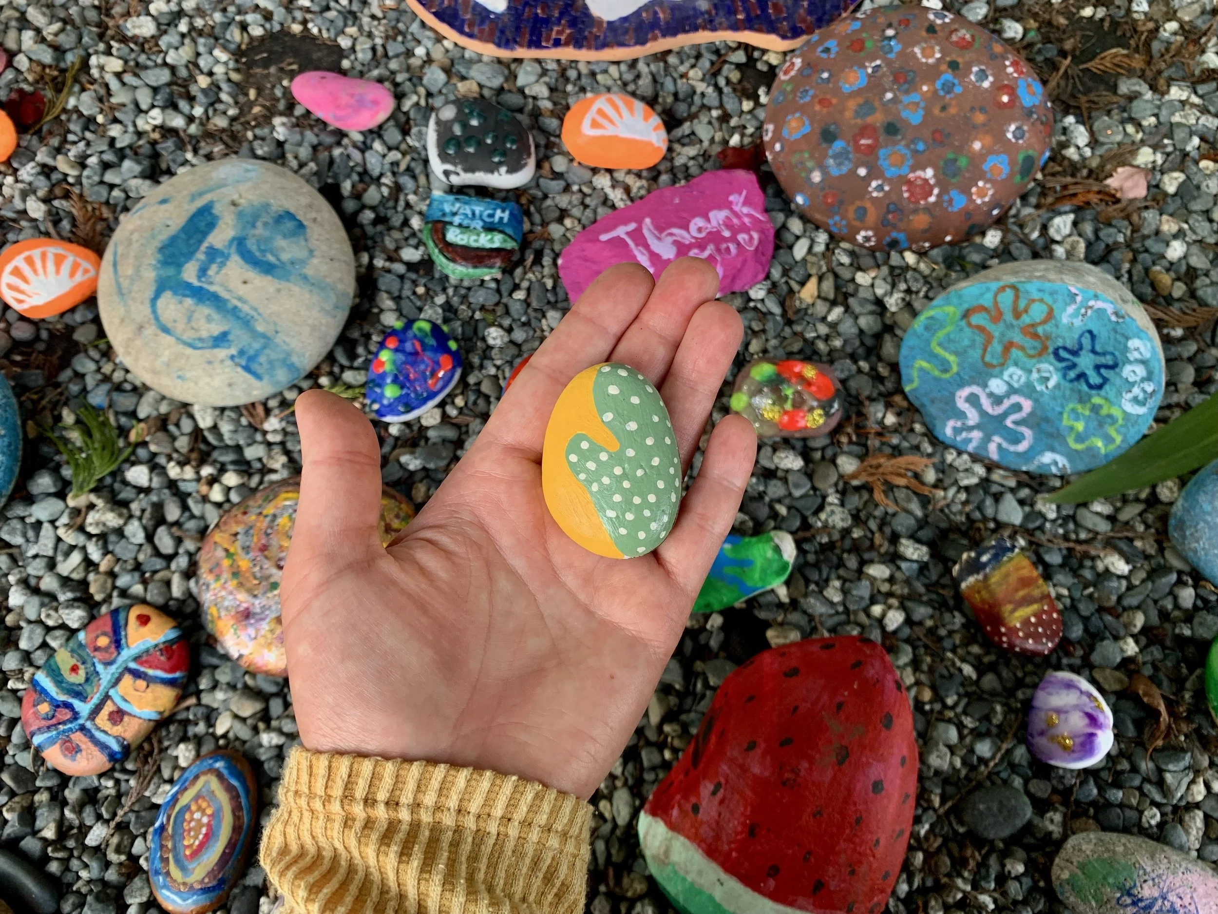 Hand holding a small painted cactus rock above gravel scattered with colourful painted rocks